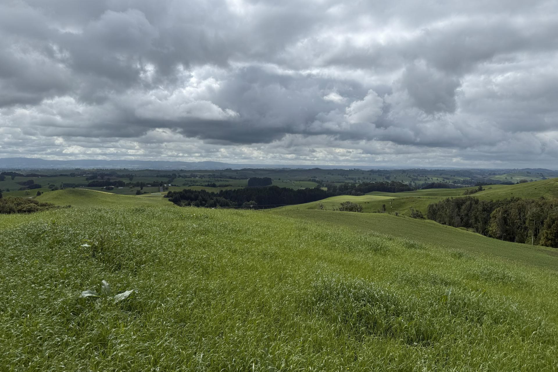 Taotaoroa Road, Karapiro
