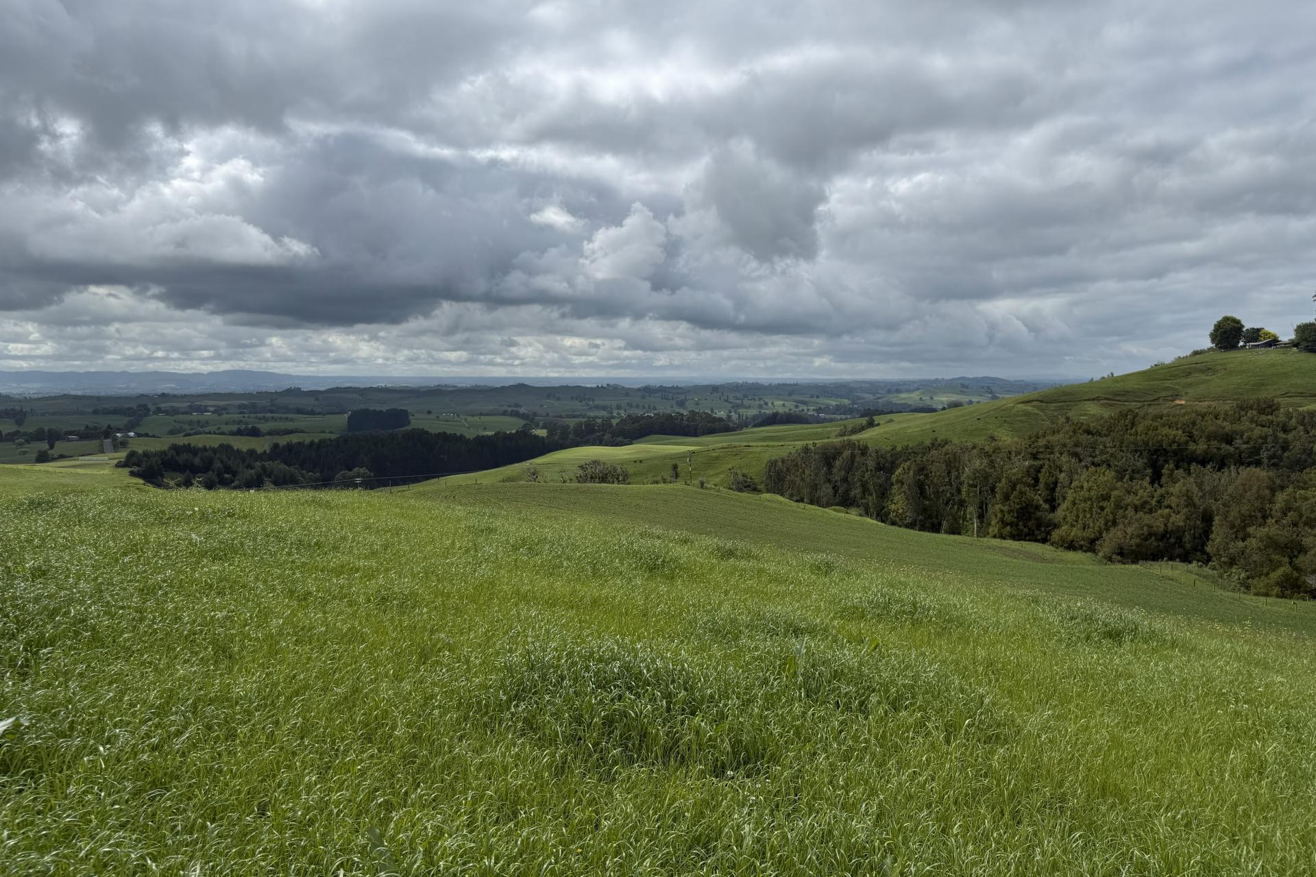 Taotaoroa Road, Karapiro