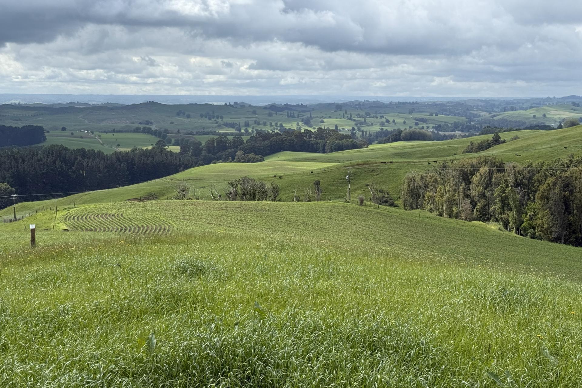 Taotaoroa Road, Karapiro