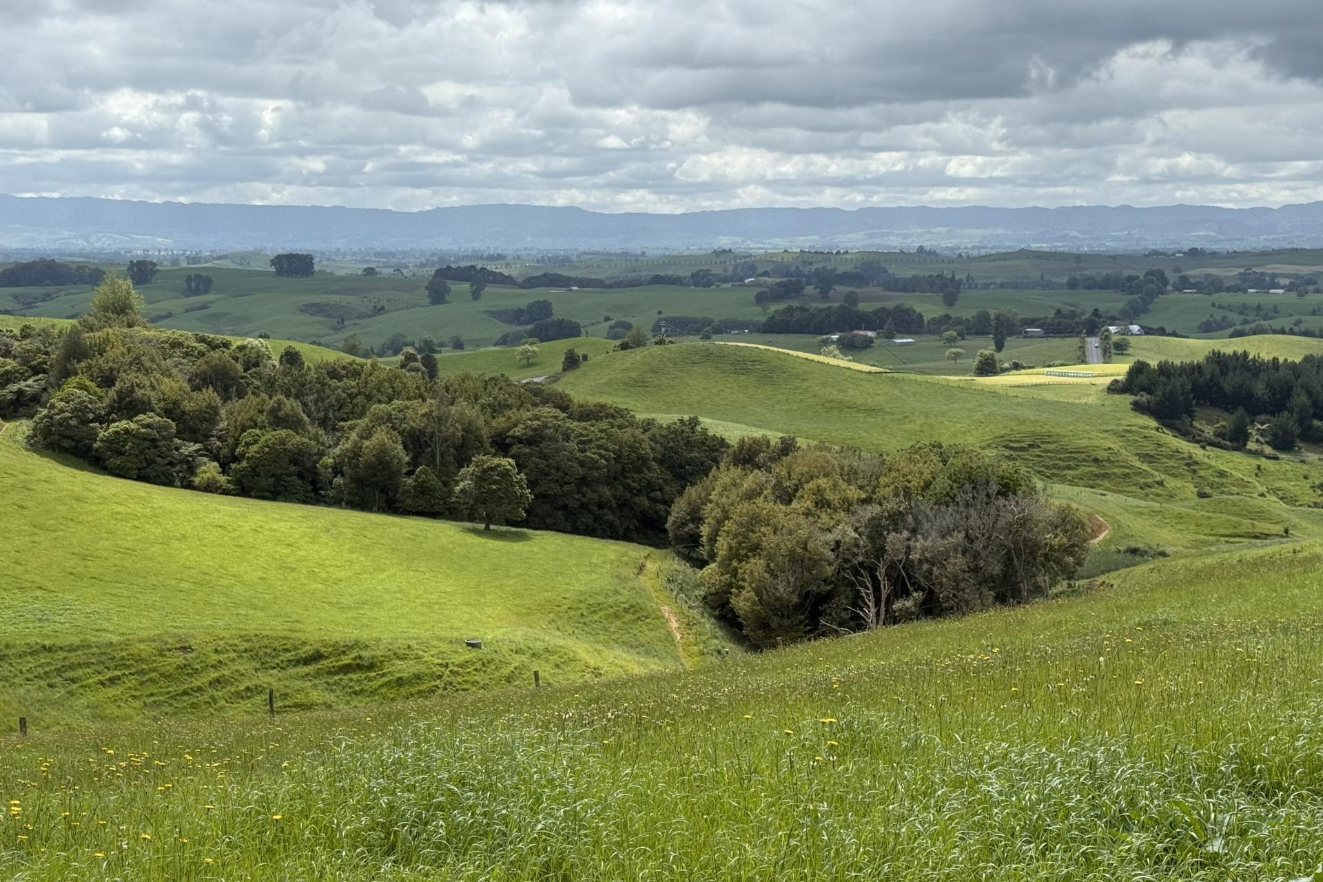 Taotaoroa Road, Karapiro