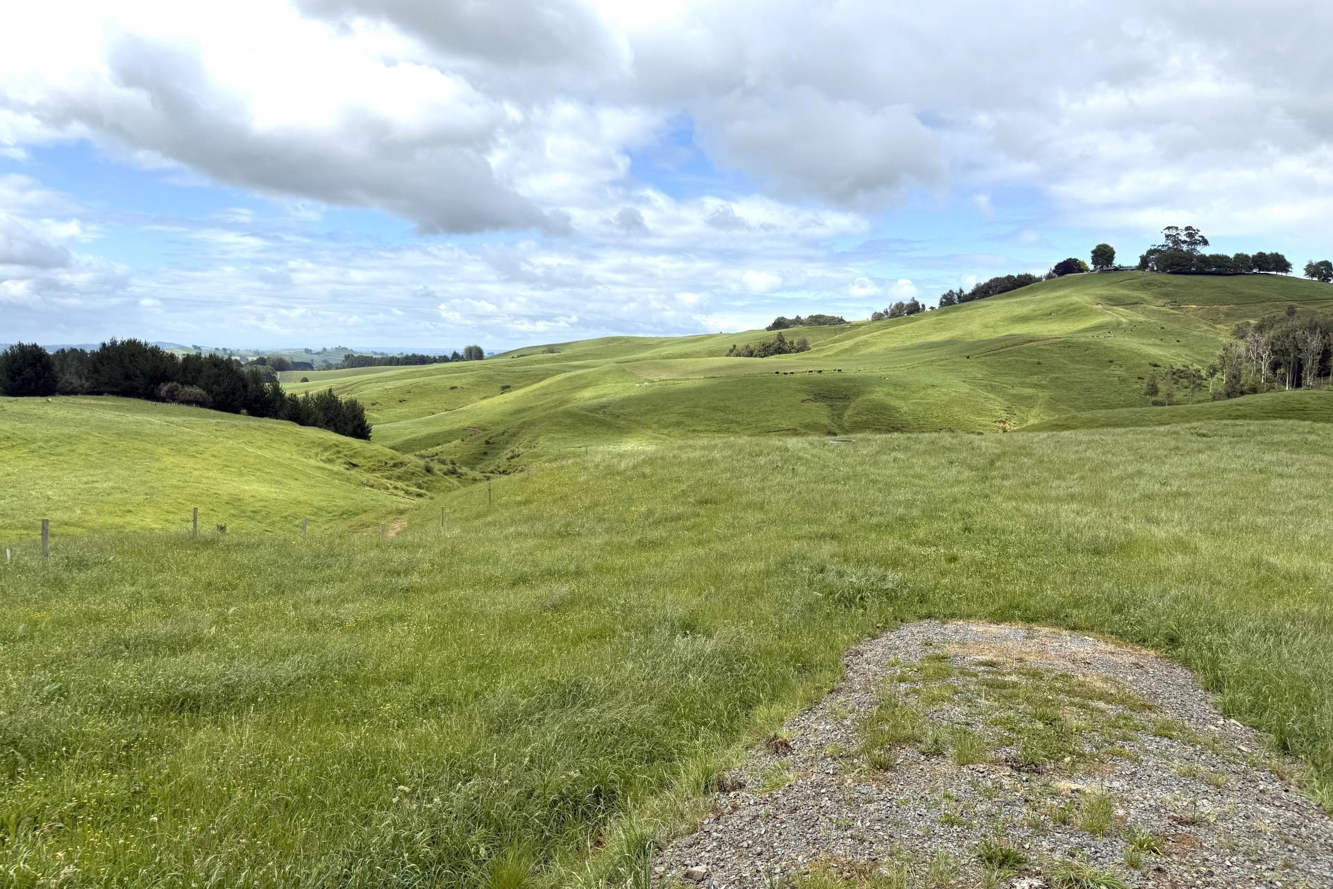 Taotaoroa Road, Karapiro