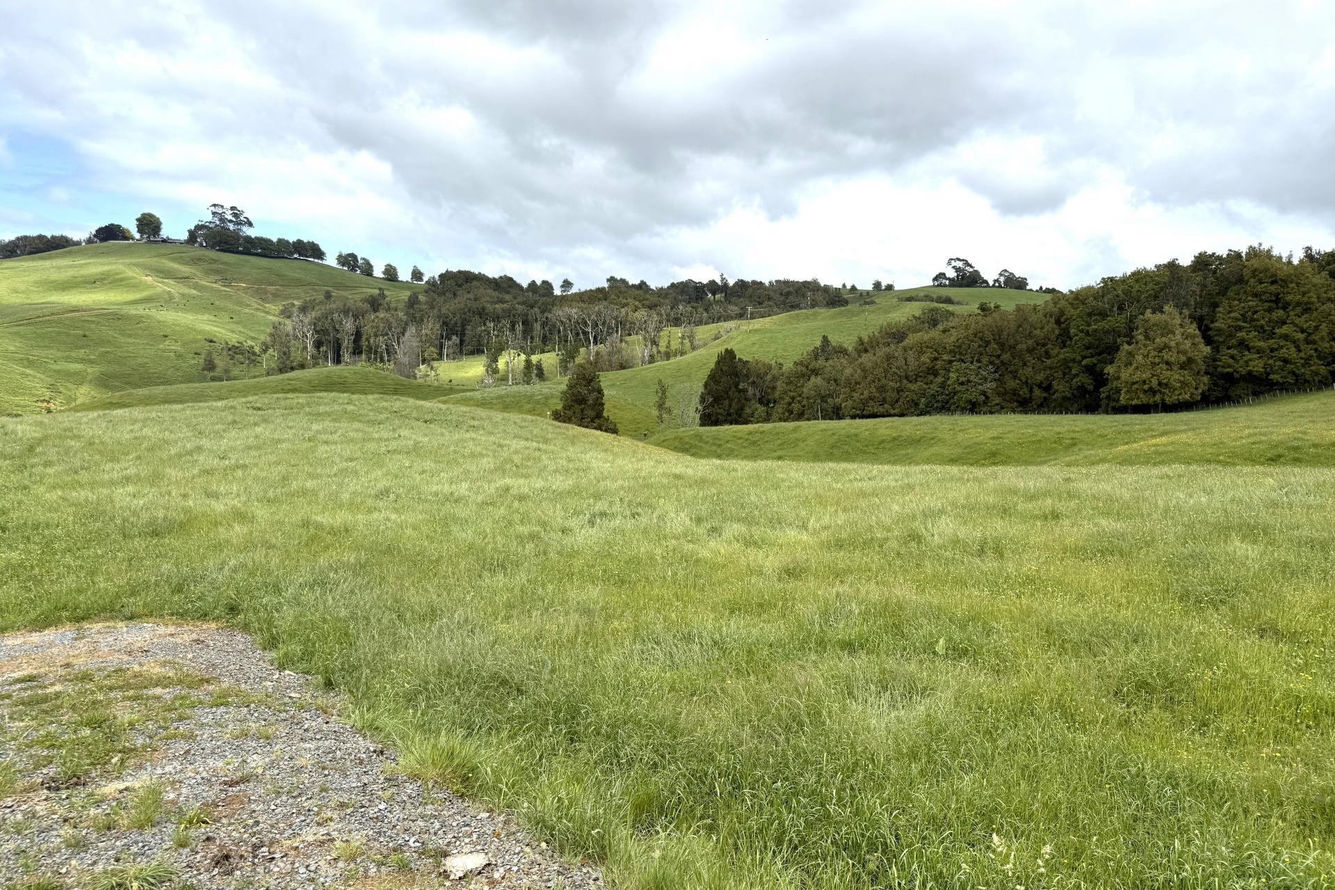 Taotaoroa Road, Karapiro