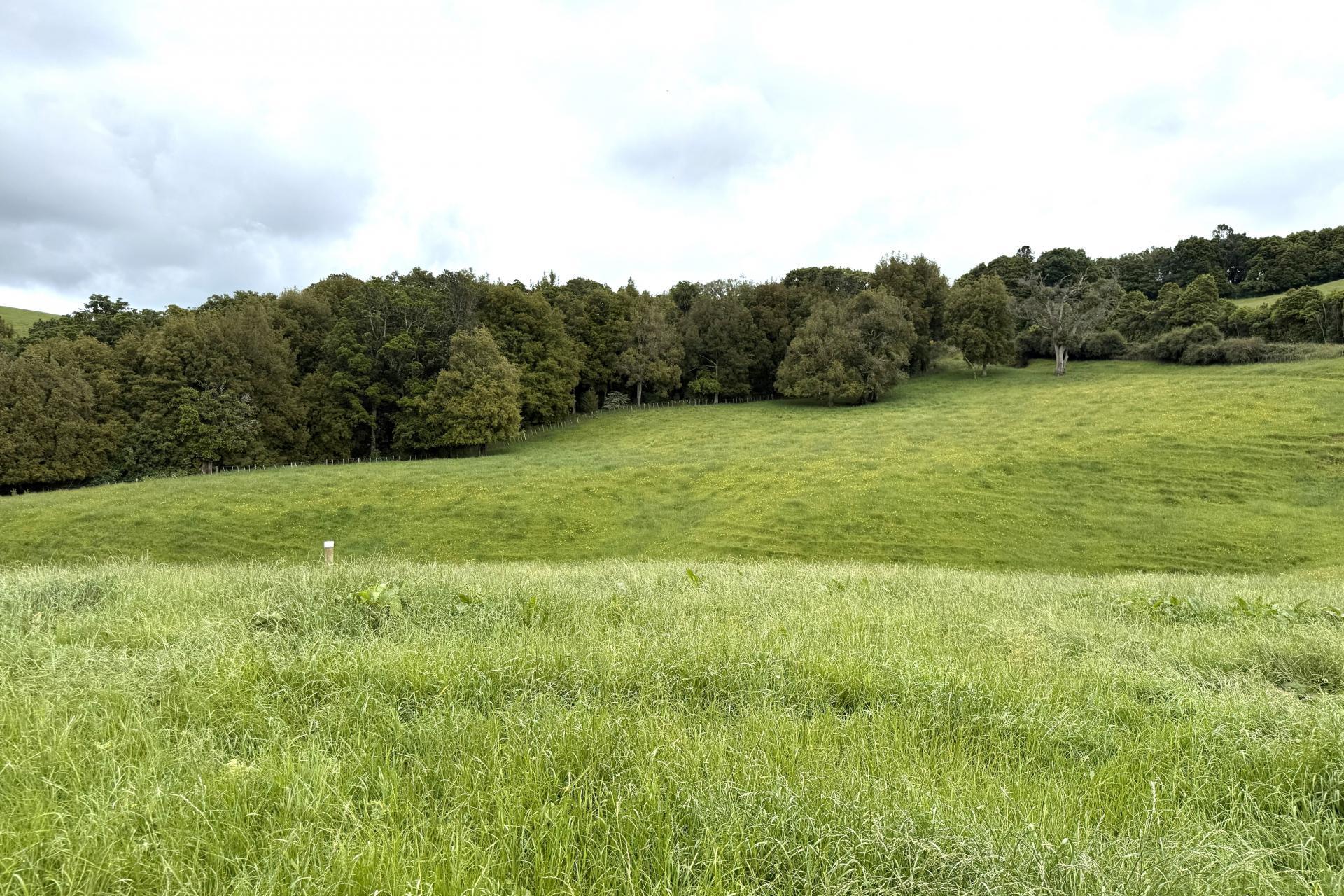 Taotaoroa Road, Karapiro