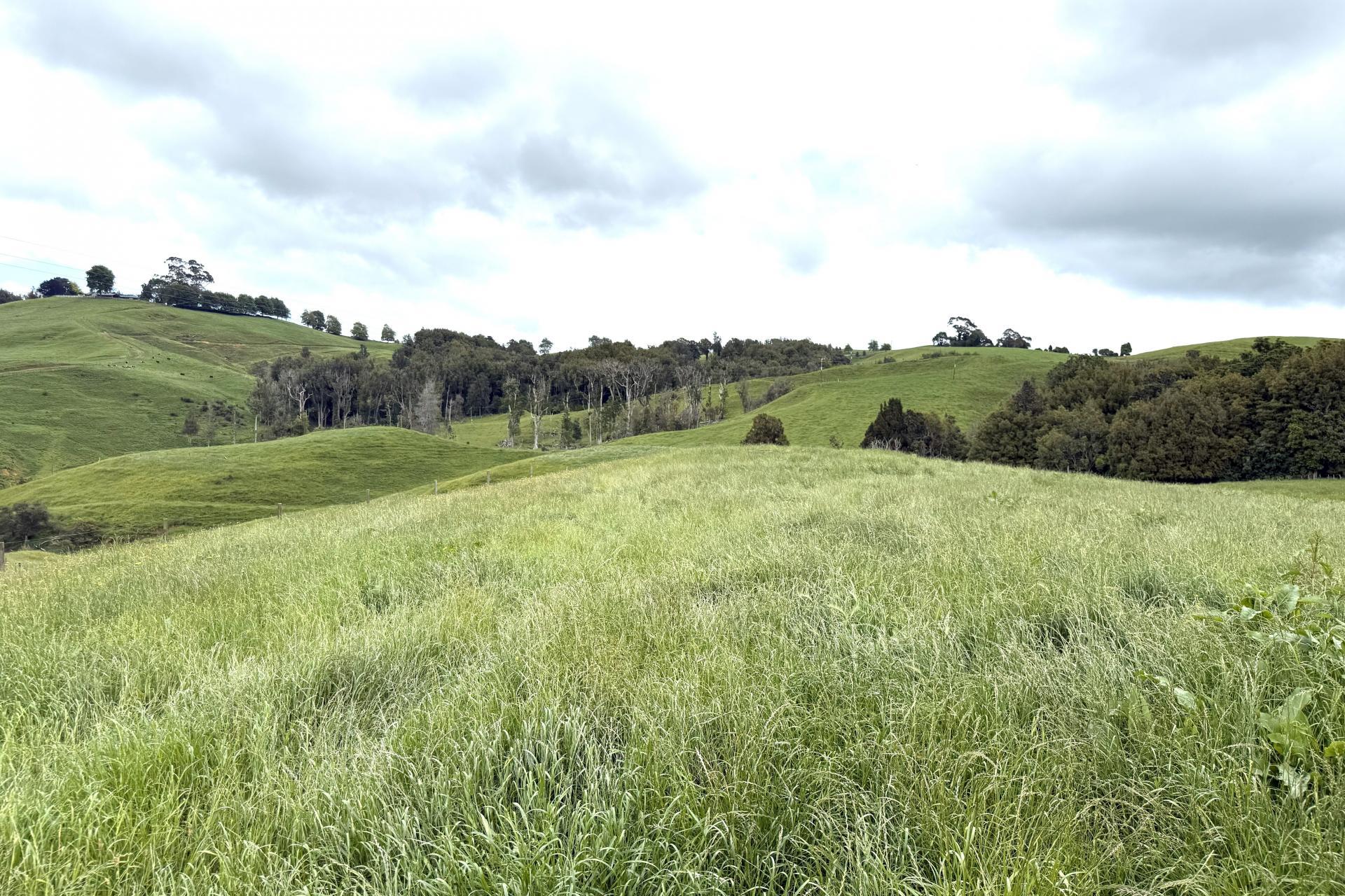 Taotaoroa Road, Karapiro