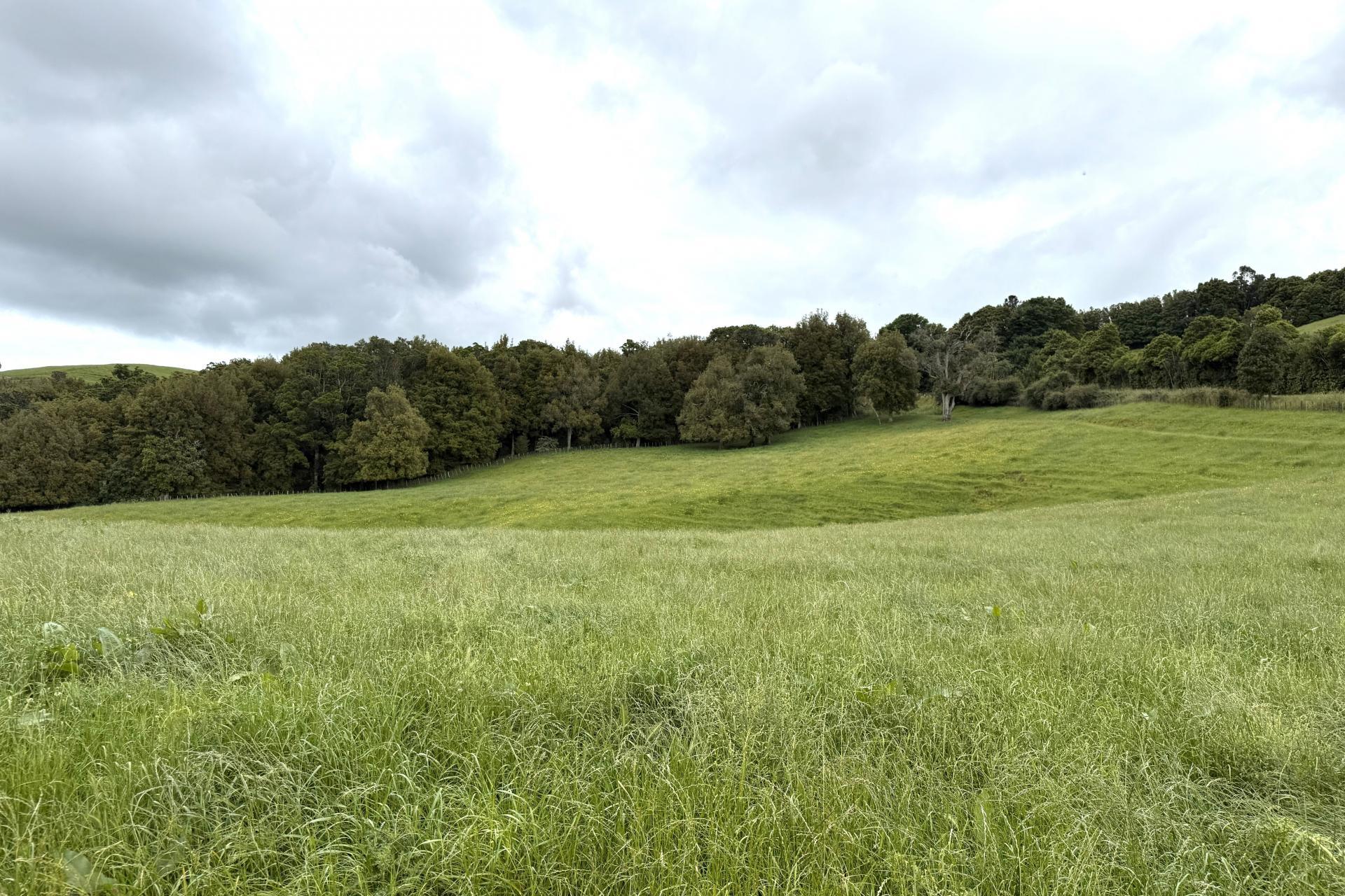 Taotaoroa Road, Karapiro