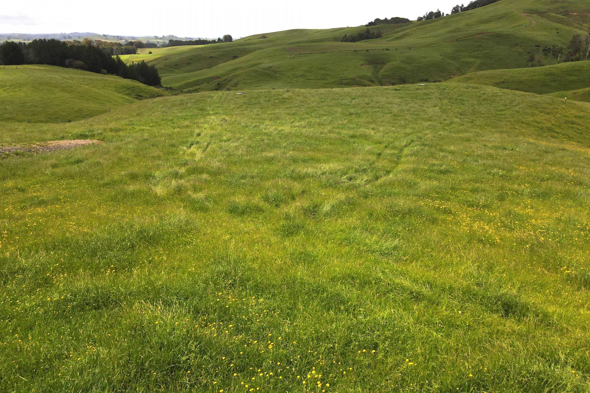 Taotaoroa Road, Karapiro