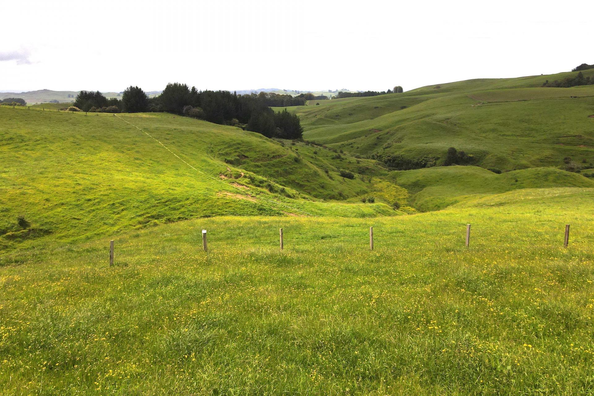 Taotaoroa Road, Karapiro