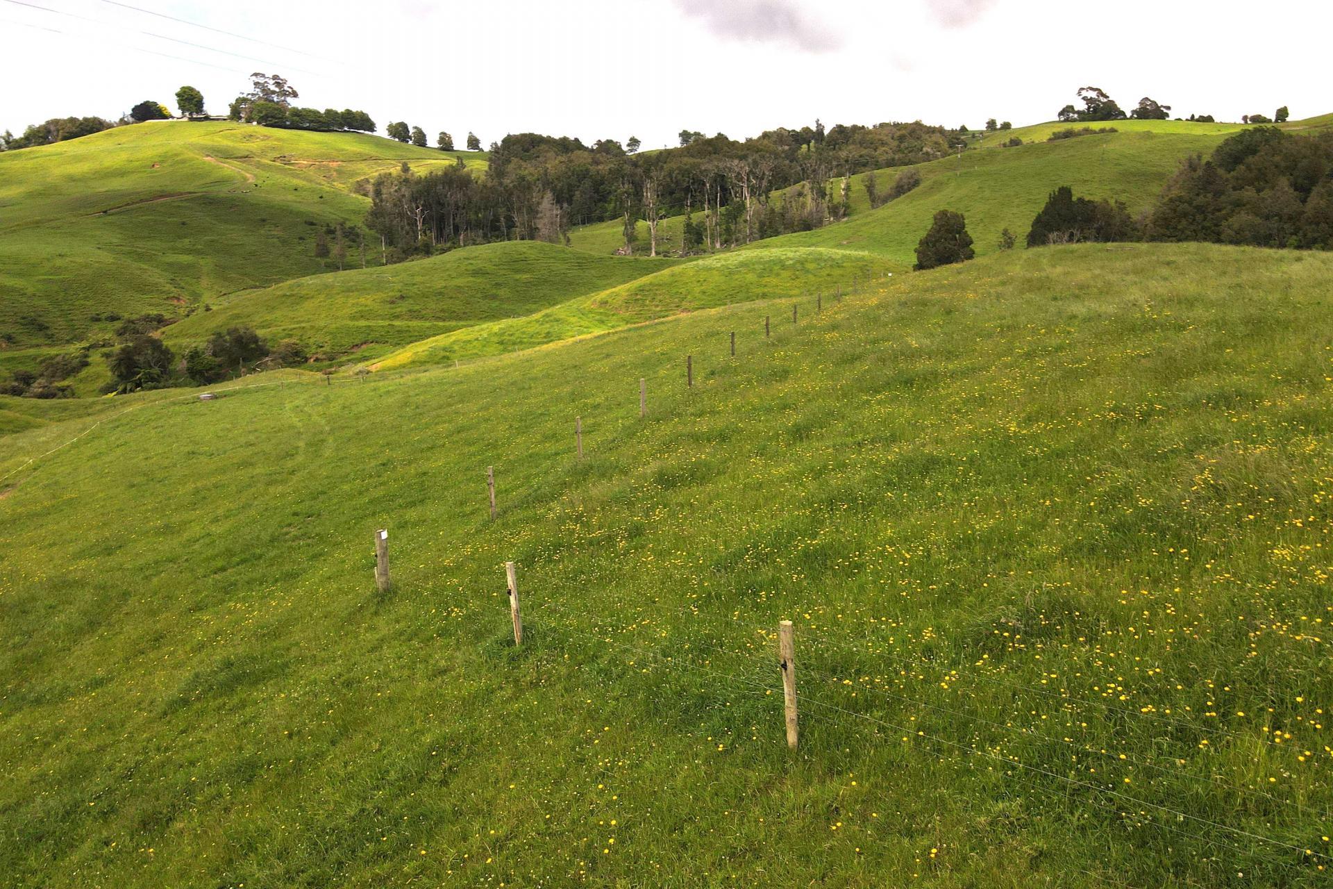 Taotaoroa Road, Karapiro