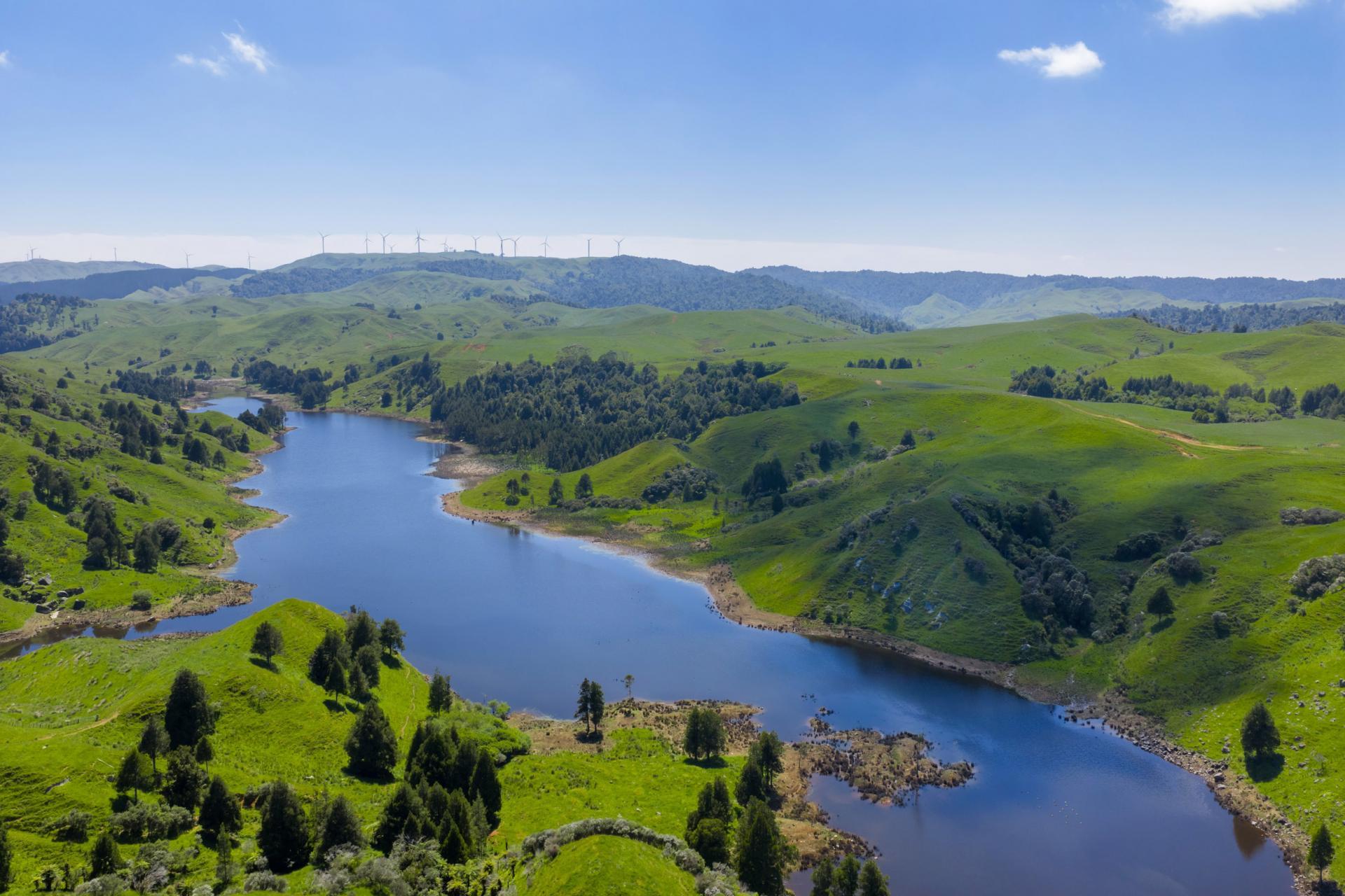 822 Kawhia Road, Makomako