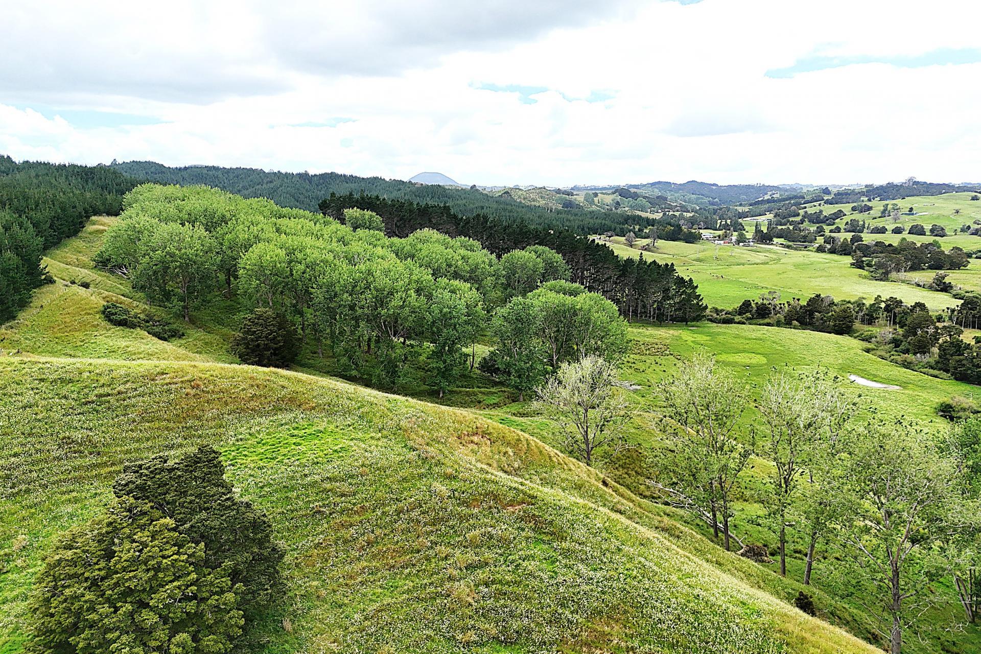2694 State Highway 14, Whangarei