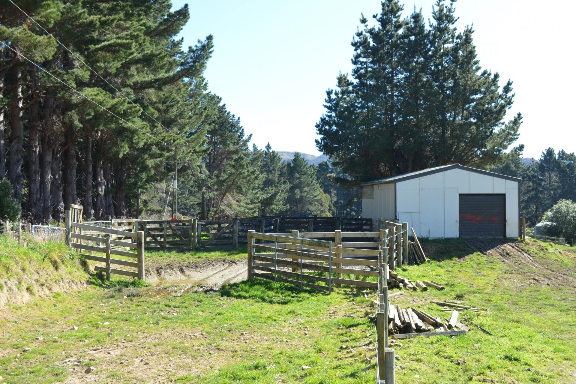 492 Moonshine Hill Road, Moonshine Valley