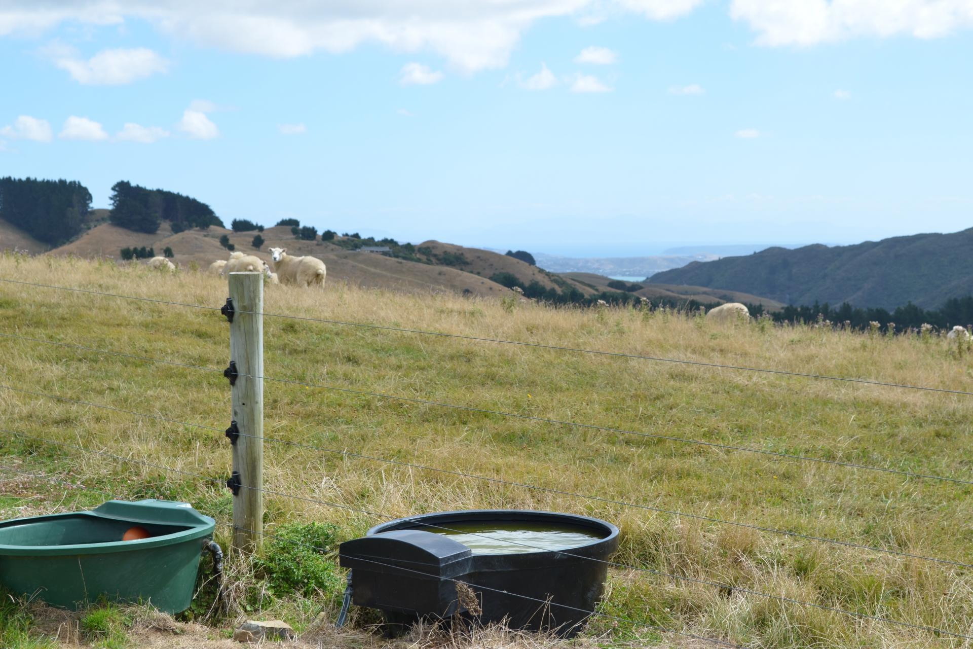 492 Moonshine Hill Road, Moonshine Valley