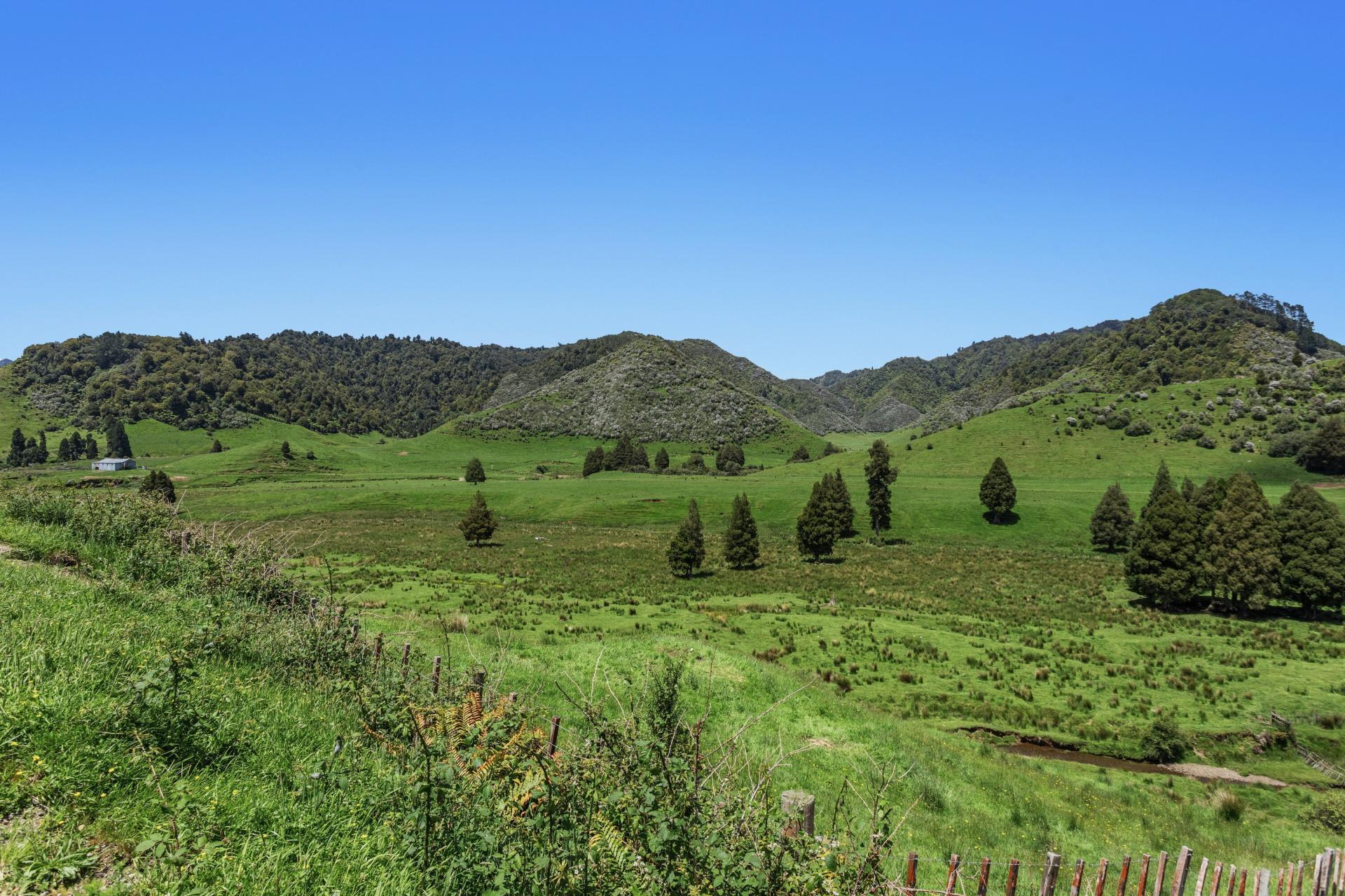 2060 Motu Road, Opotiki