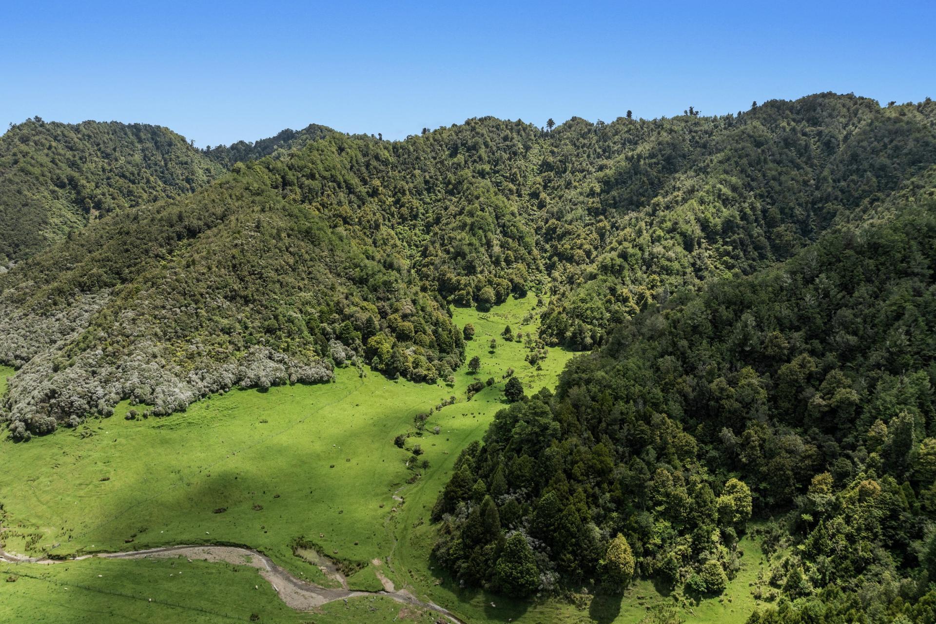 2060 Motu Road, Opotiki