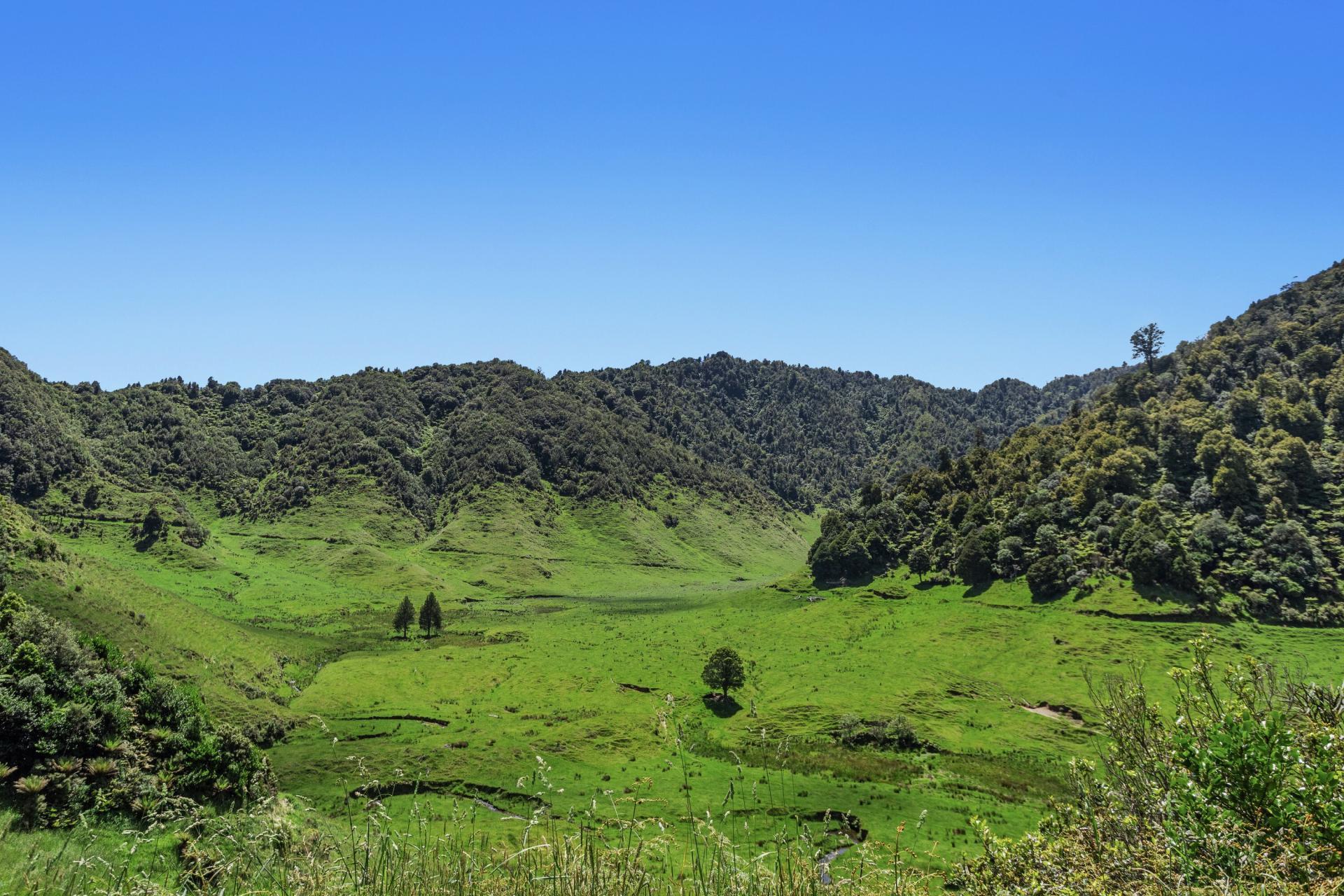2060 Motu Road, Opotiki