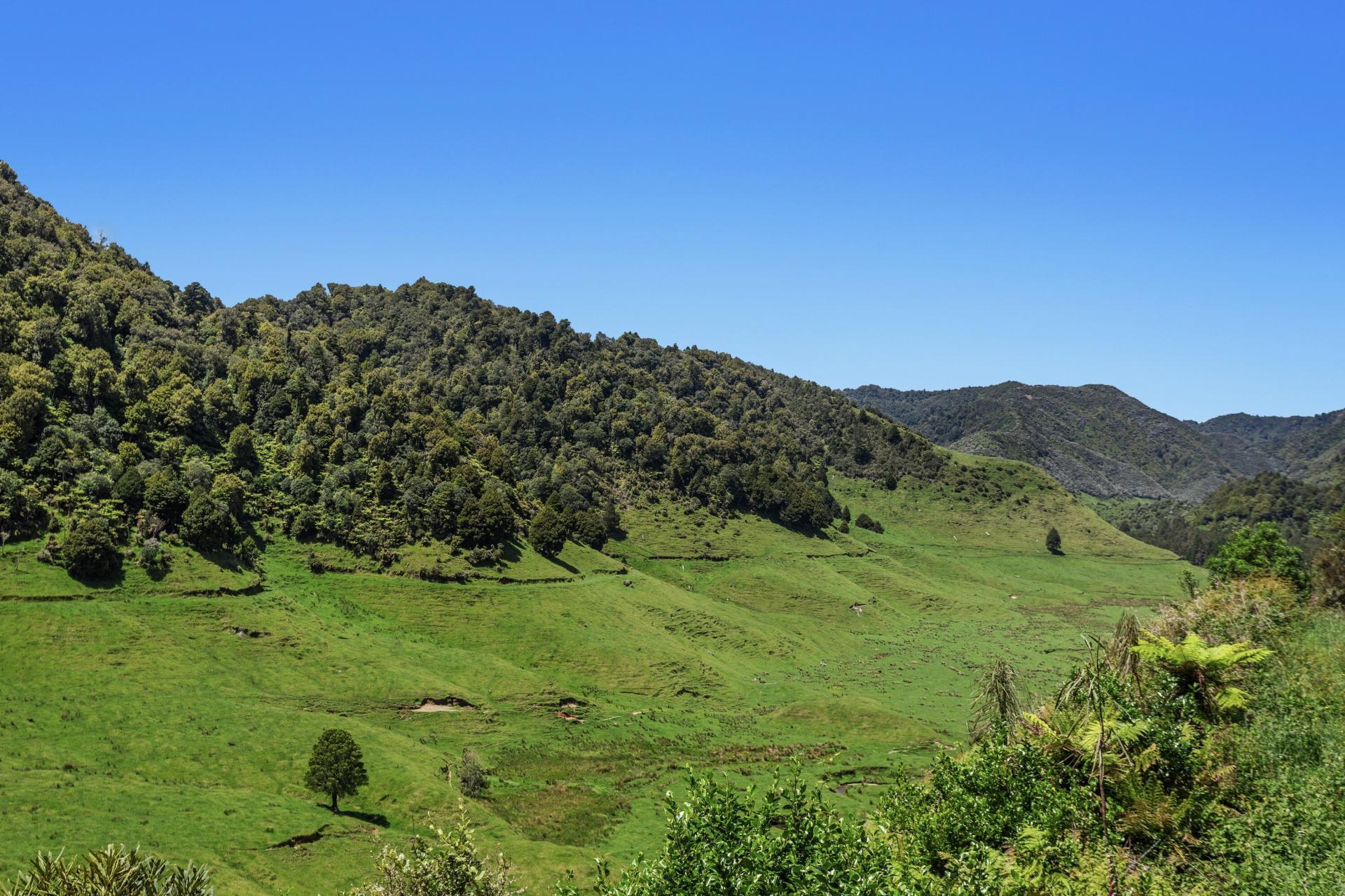 2060 Motu Road, Opotiki
