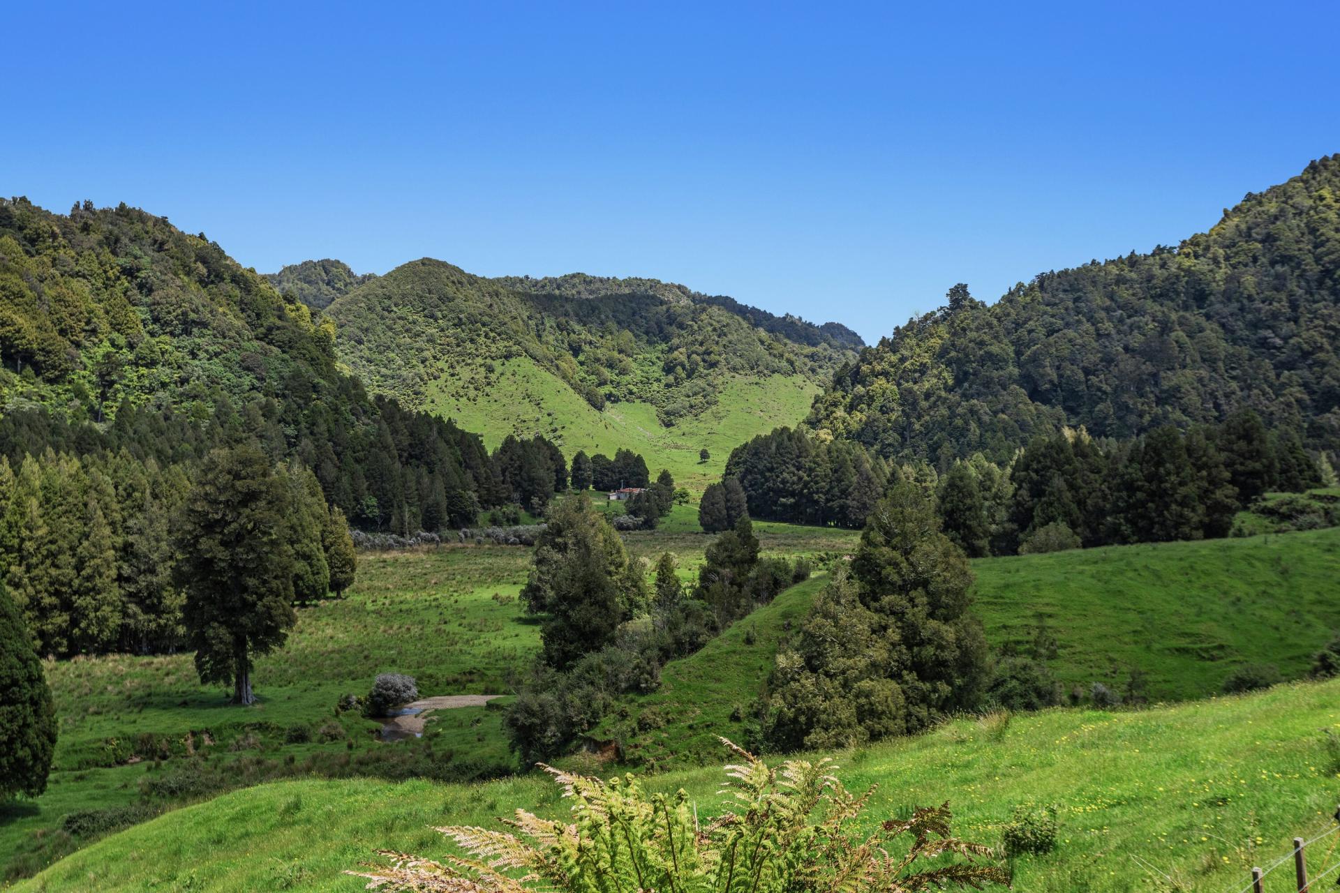 2060 Motu Road, Opotiki