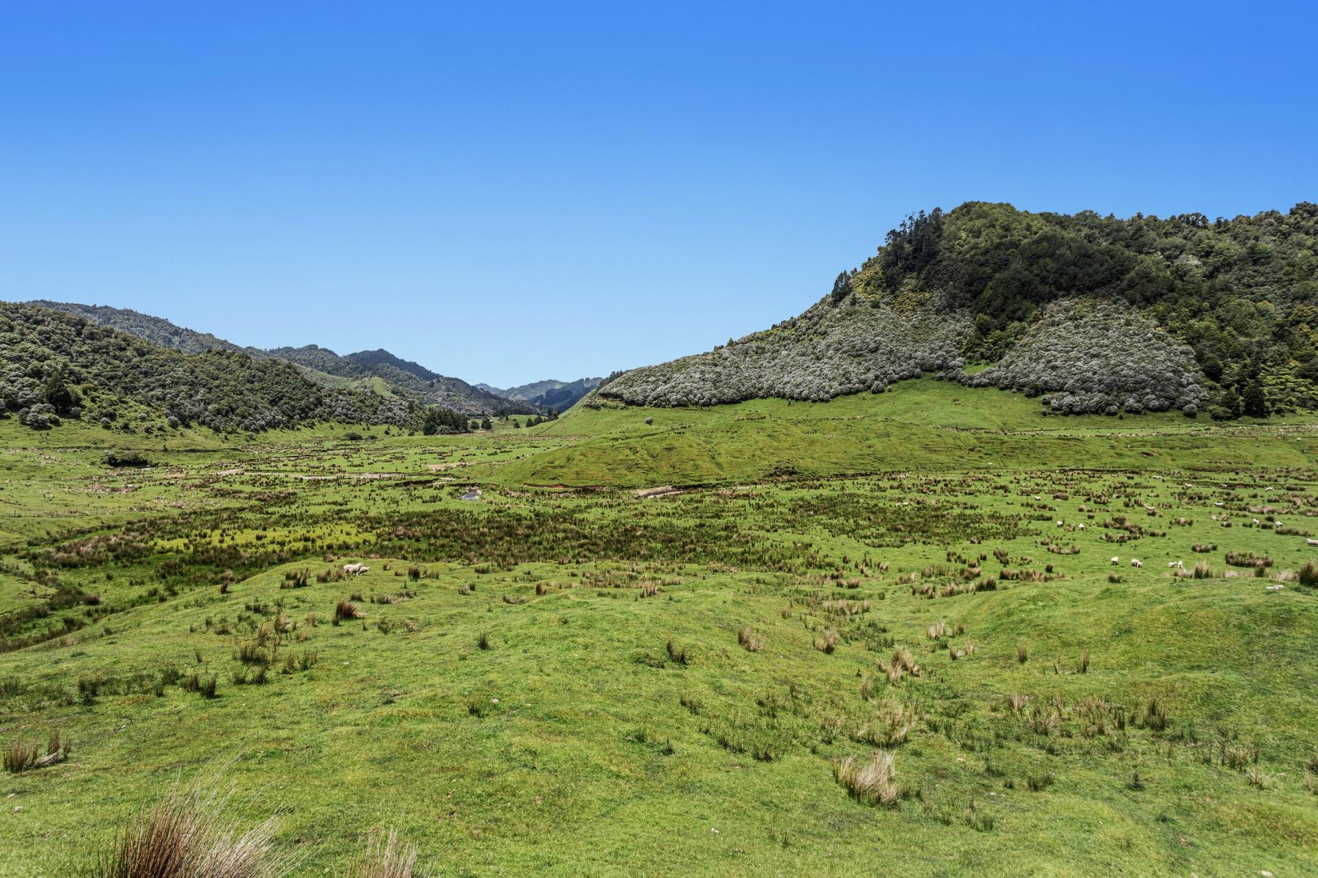 2060 Motu Road, Opotiki