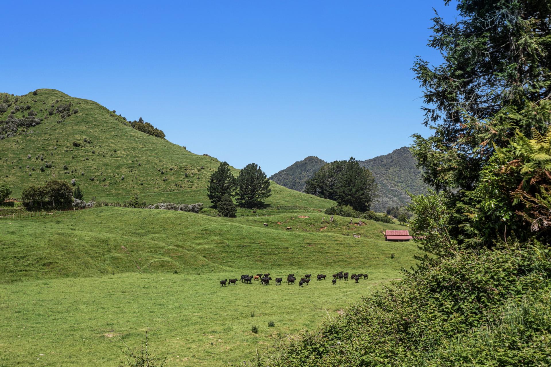 2060 Motu Road, Opotiki