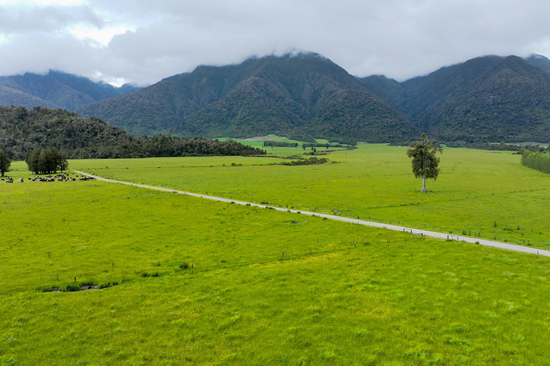 Station Road and Hodgkinson Road , Inchbonnie