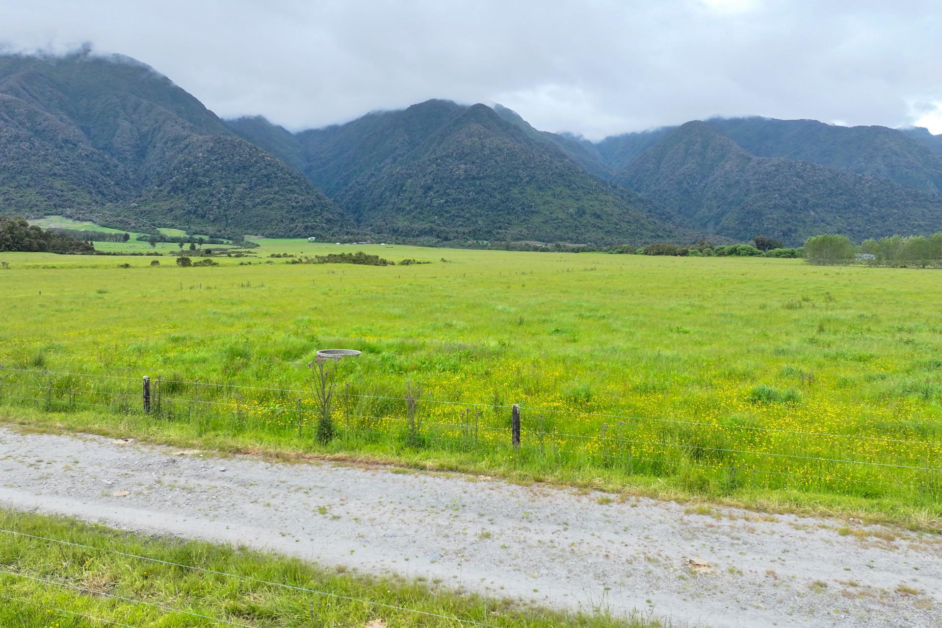 Station Road and Hodgkinson Road , Inchbonnie