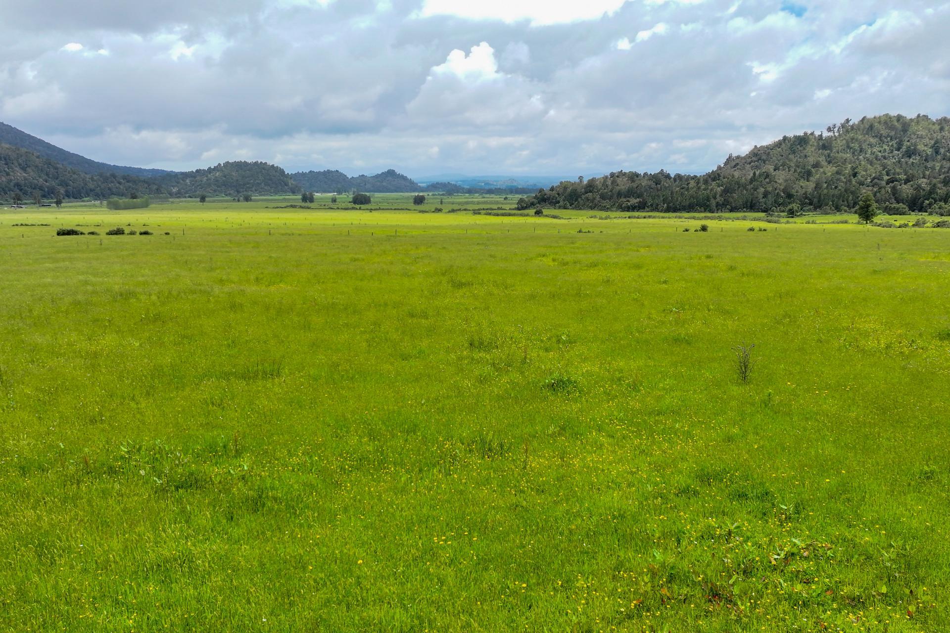 Station Road and Hodgkinson Road , Inchbonnie