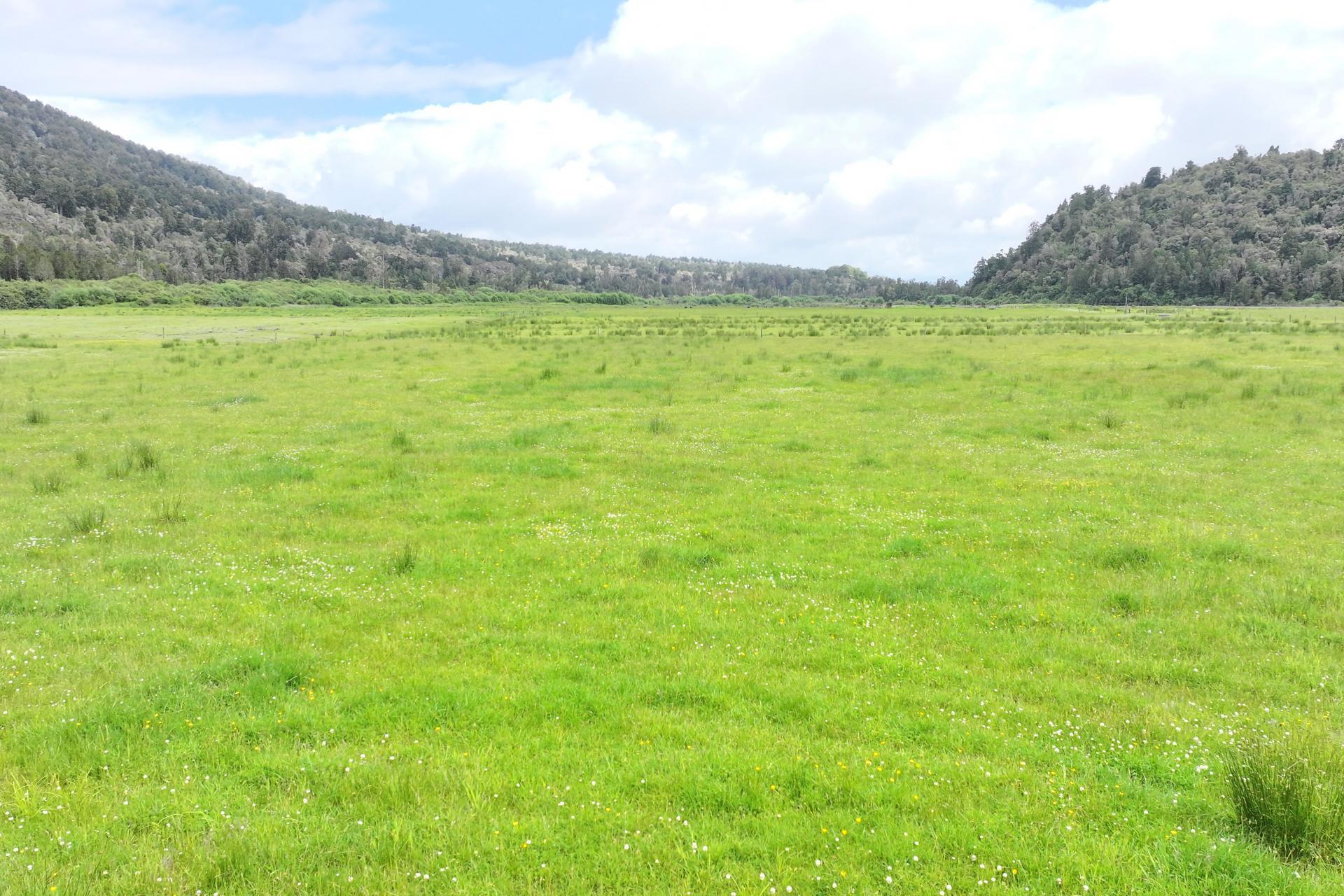 Station Road and Hodgkinson Road , Inchbonnie