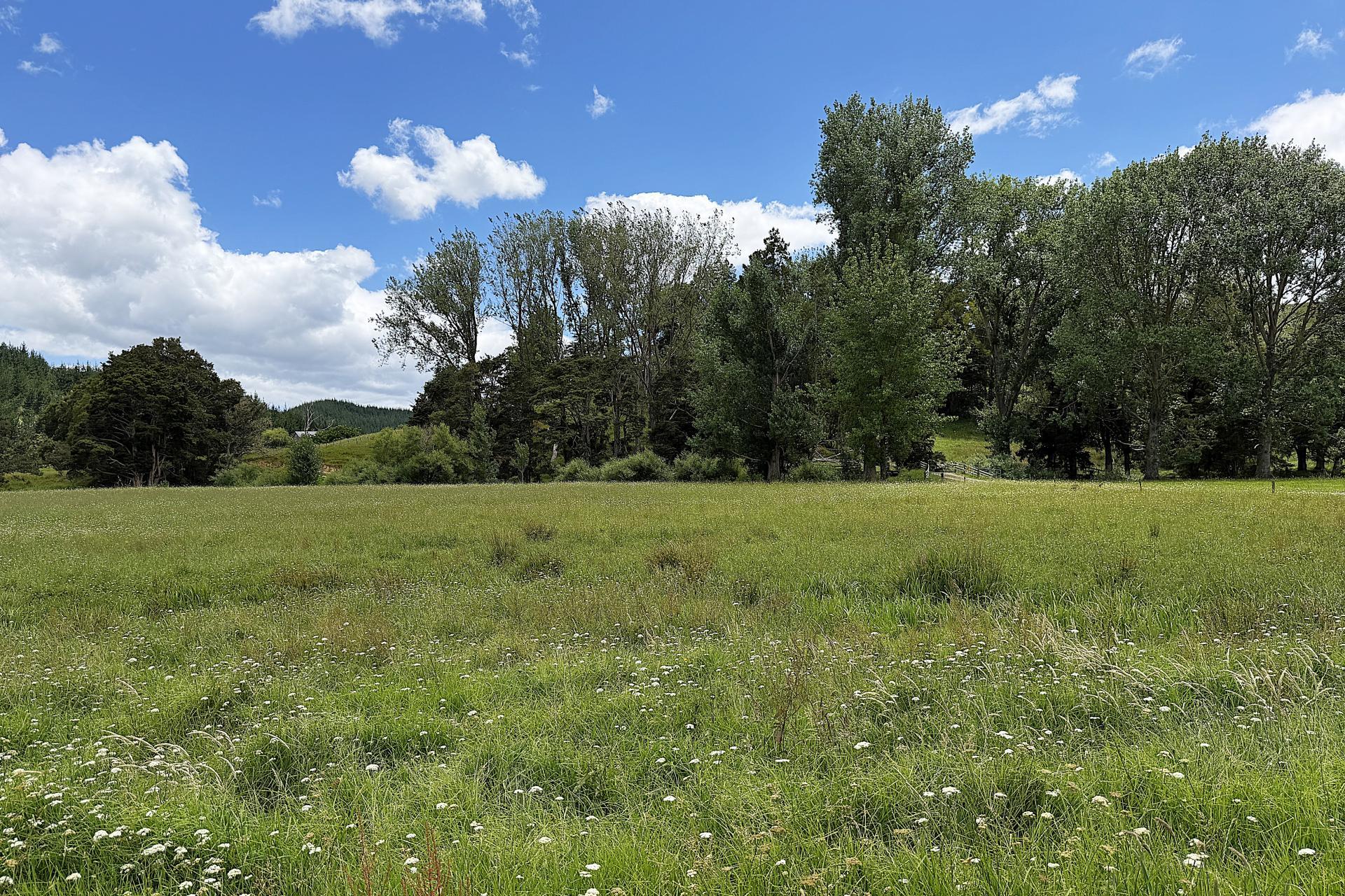 2694 State Highway 14, Whangarei