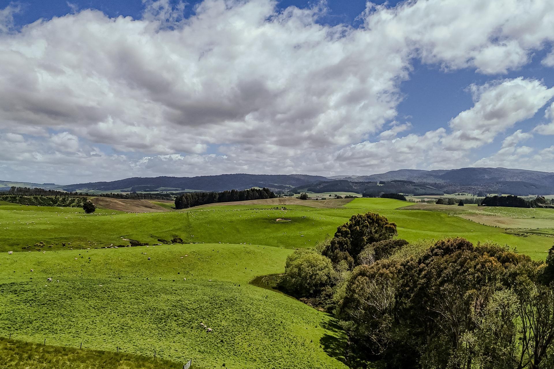 1240 Brydone Glencoe Road, Pebbly Hill