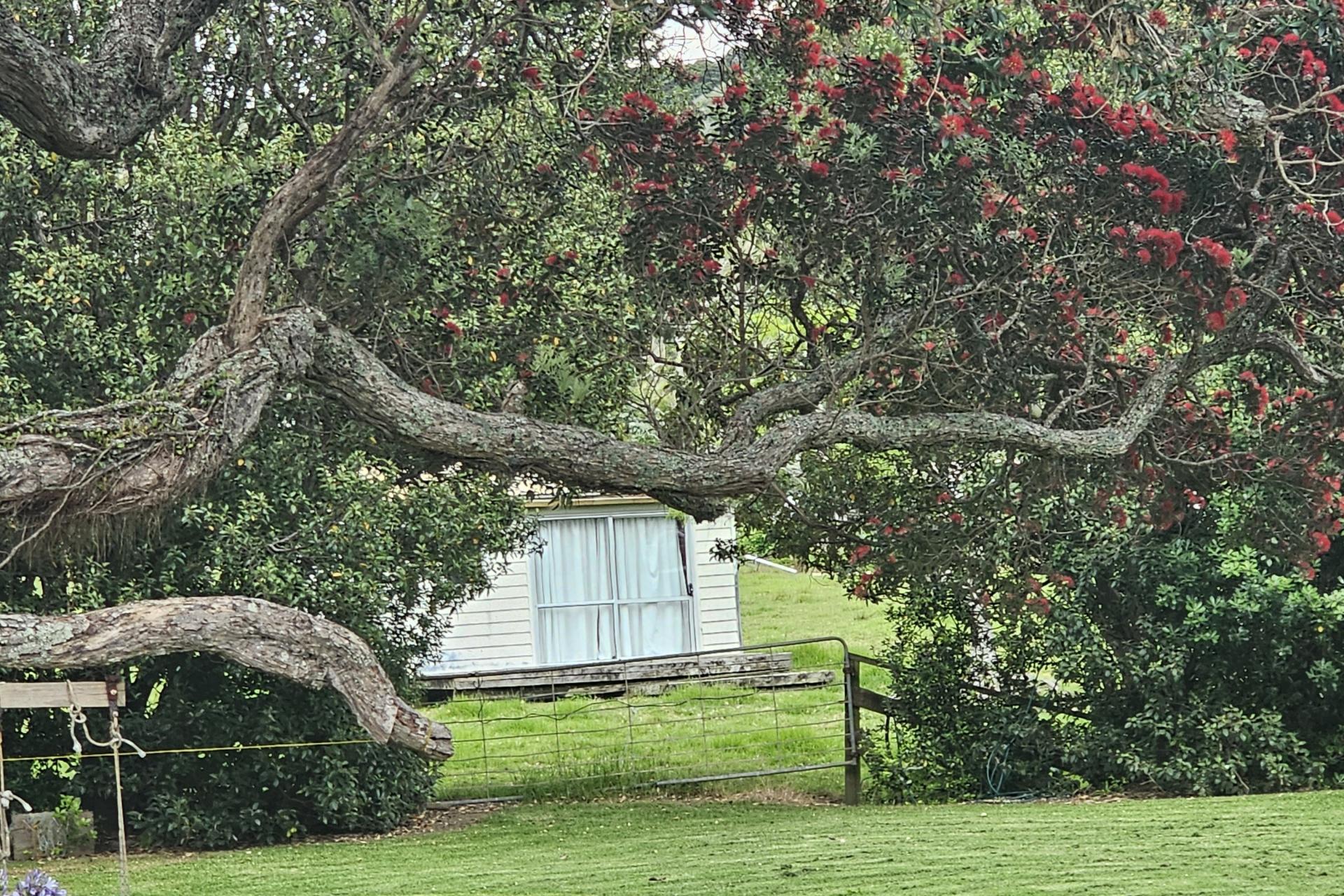 121 Ohawini Road, Oakura