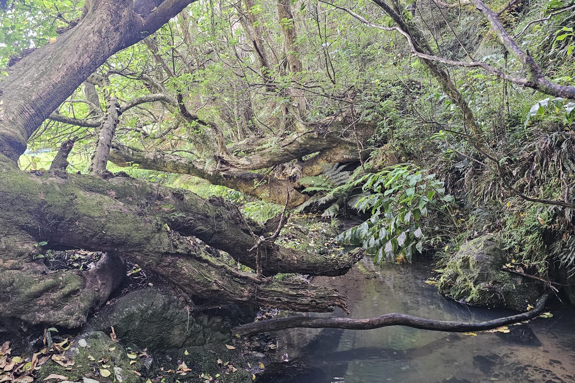 121 Ohawini Road, Oakura