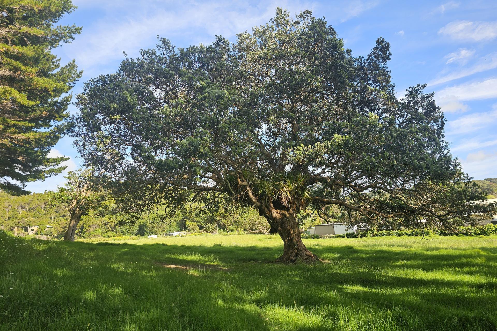 121 Ohawini Road, Oakura