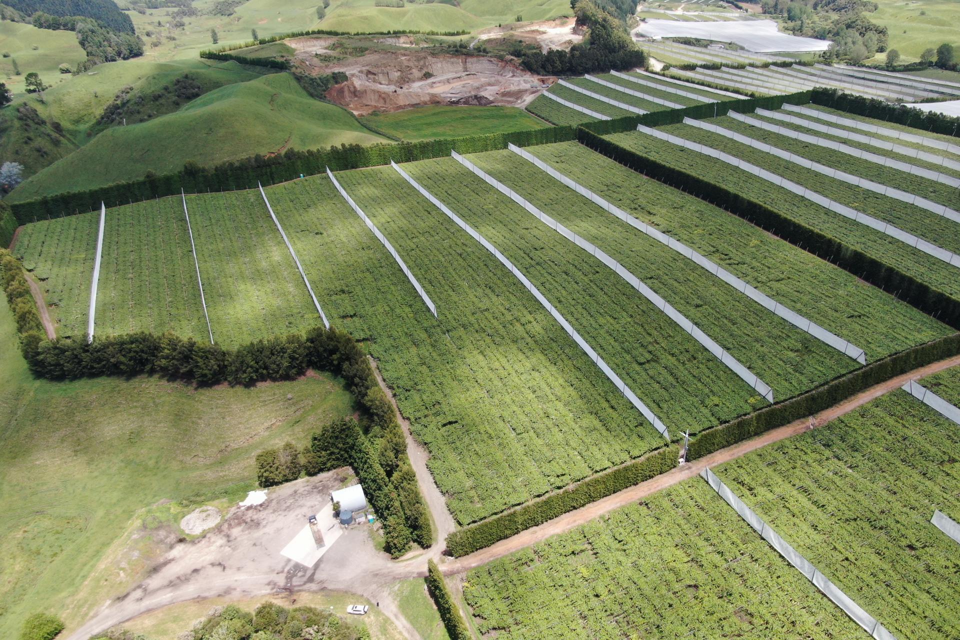 80 Roydon Downs Road, Paengaroa