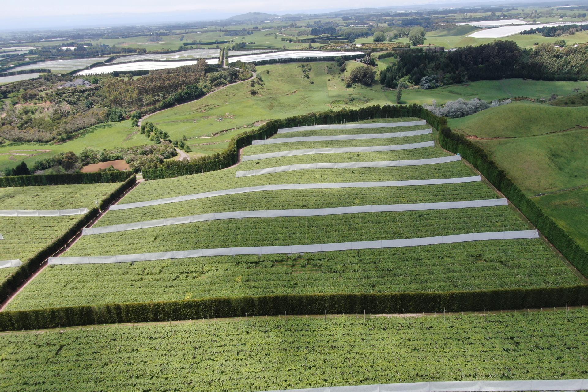 80 Roydon Downs Road, Paengaroa