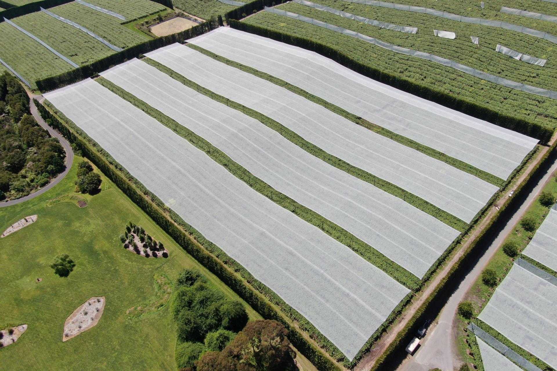 80 Roydon Downs Road, Paengaroa