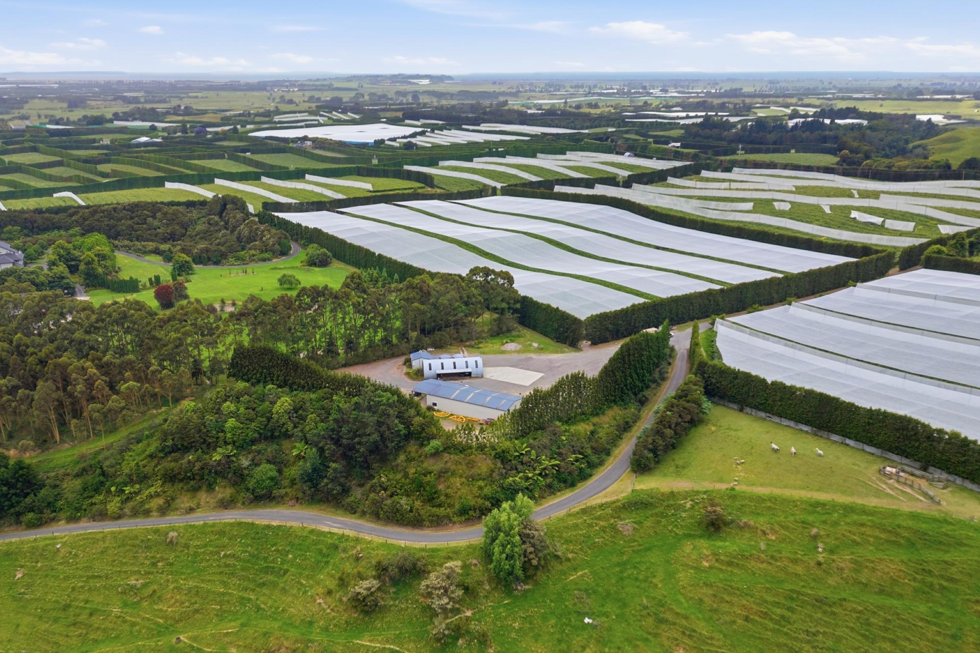 80 Roydon Downs Road, Paengaroa