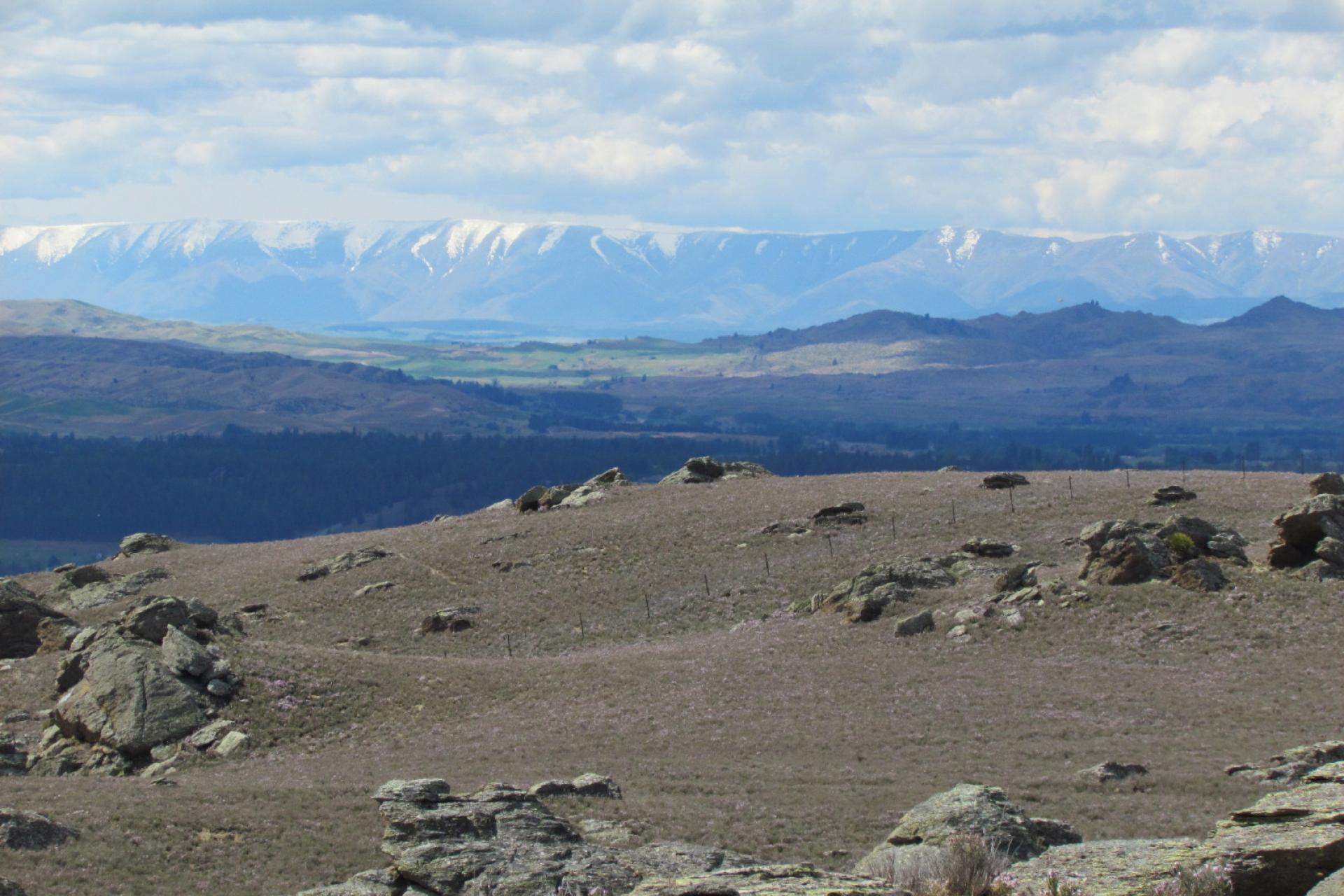 Tor Hill Road, Conroys Gully