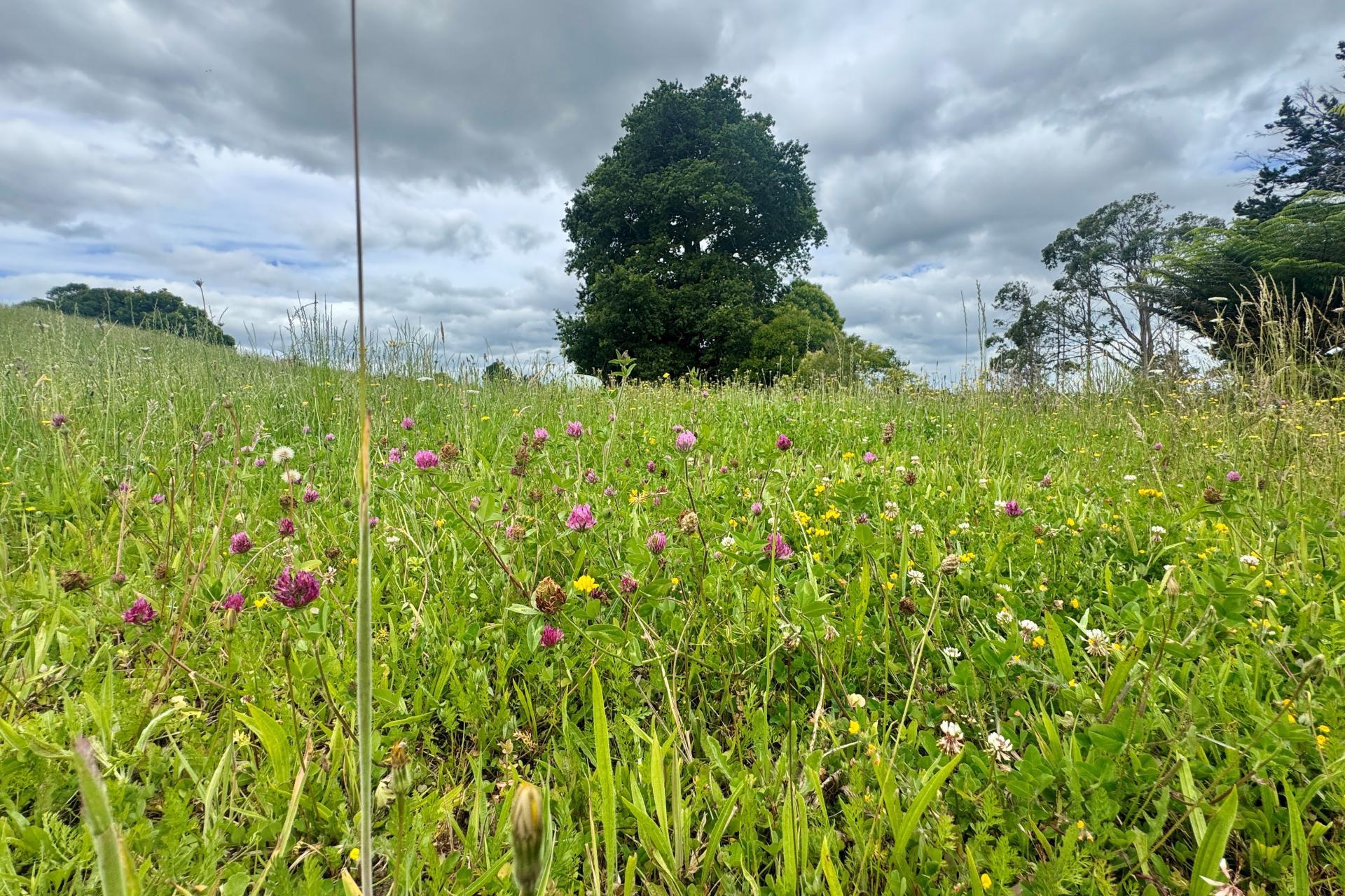 30C State Highway 2, Aongatete