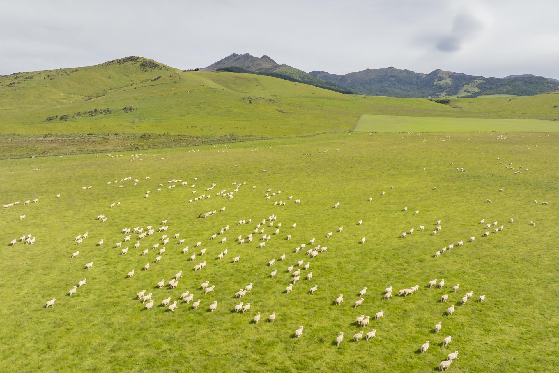 304 Acton Downs Road, Acton