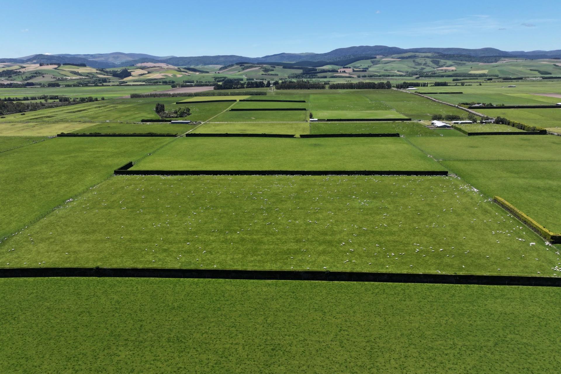 389 Mckenzie Road, Browns