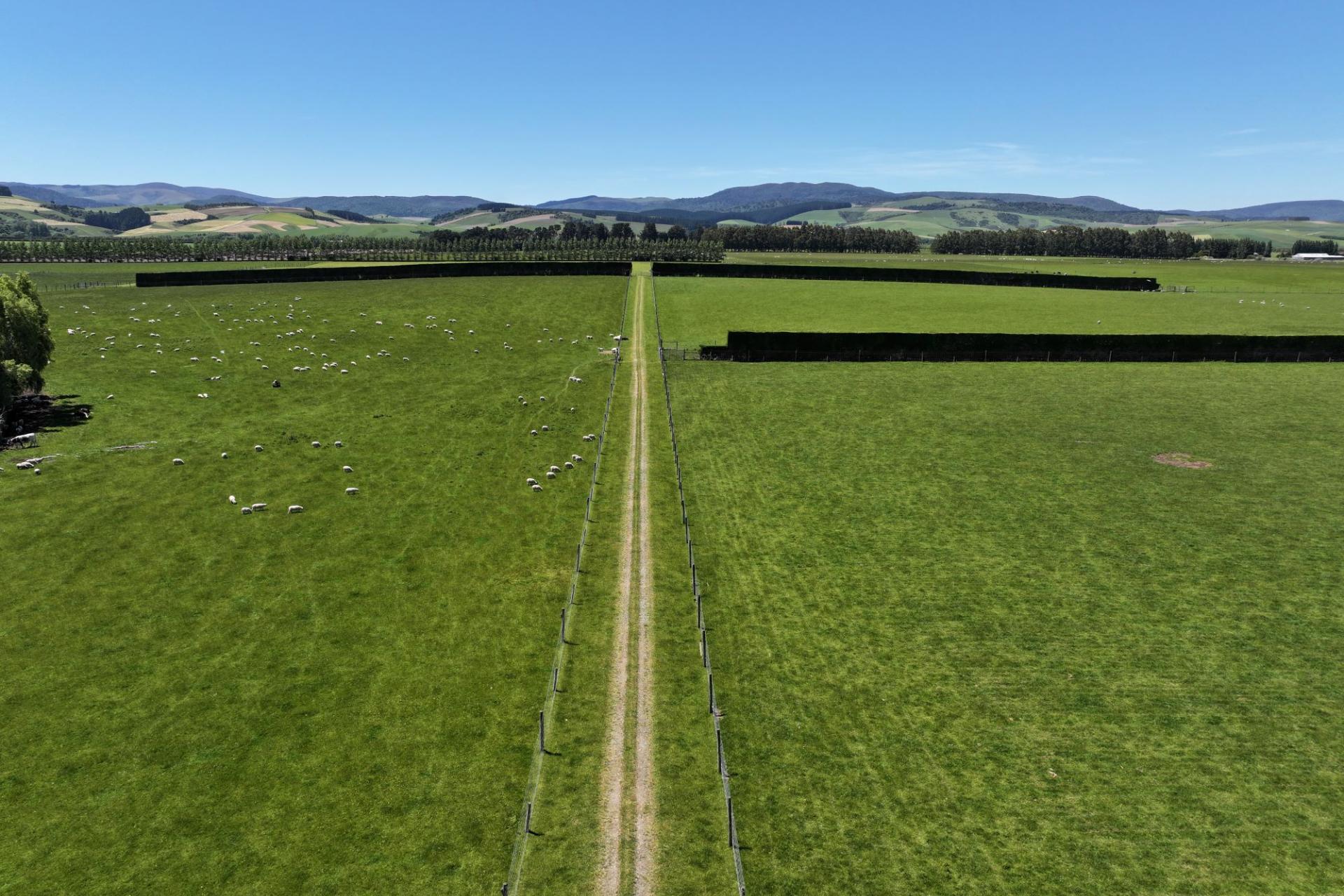 389 Mckenzie Road, Browns