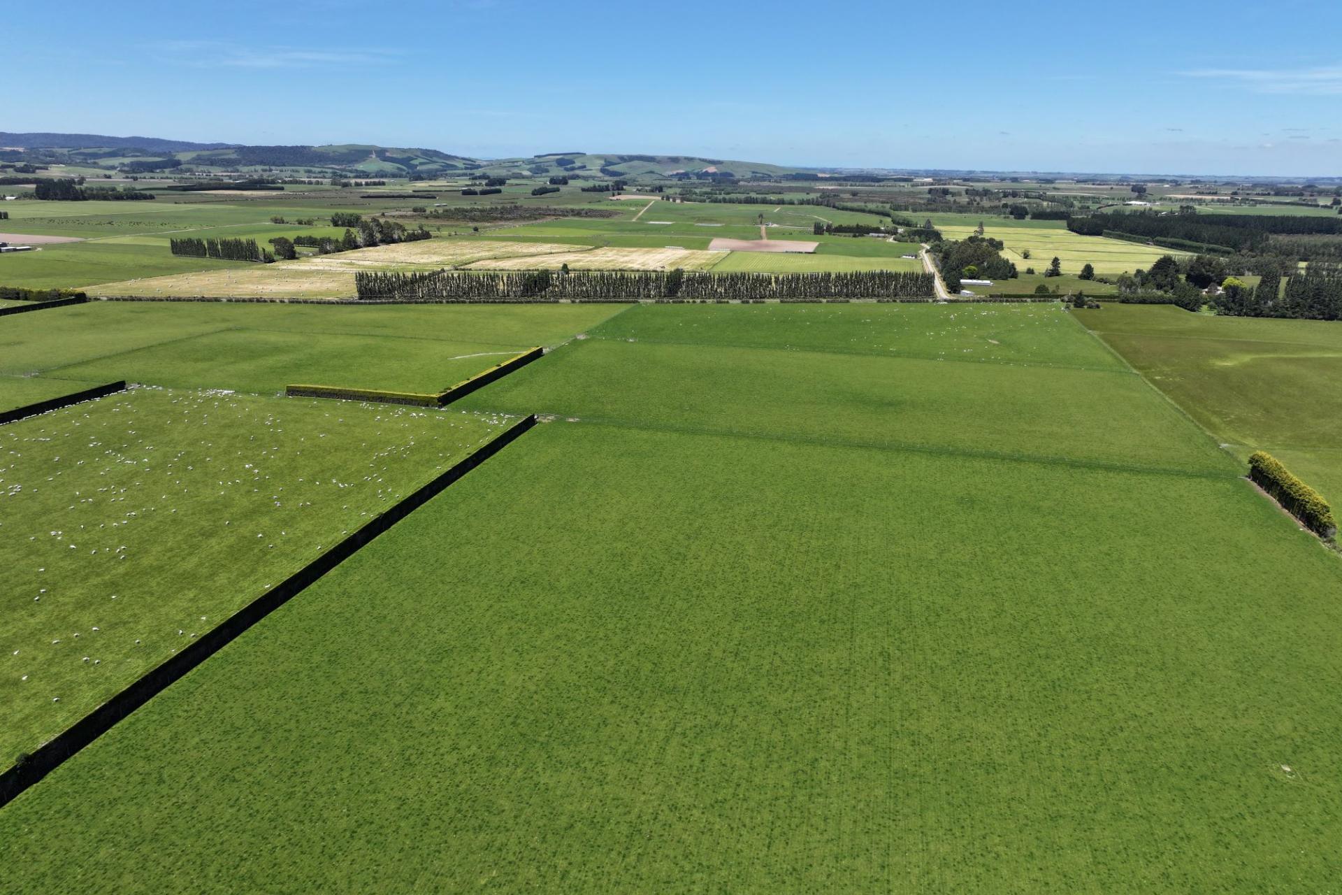 389 Mckenzie Road, Browns