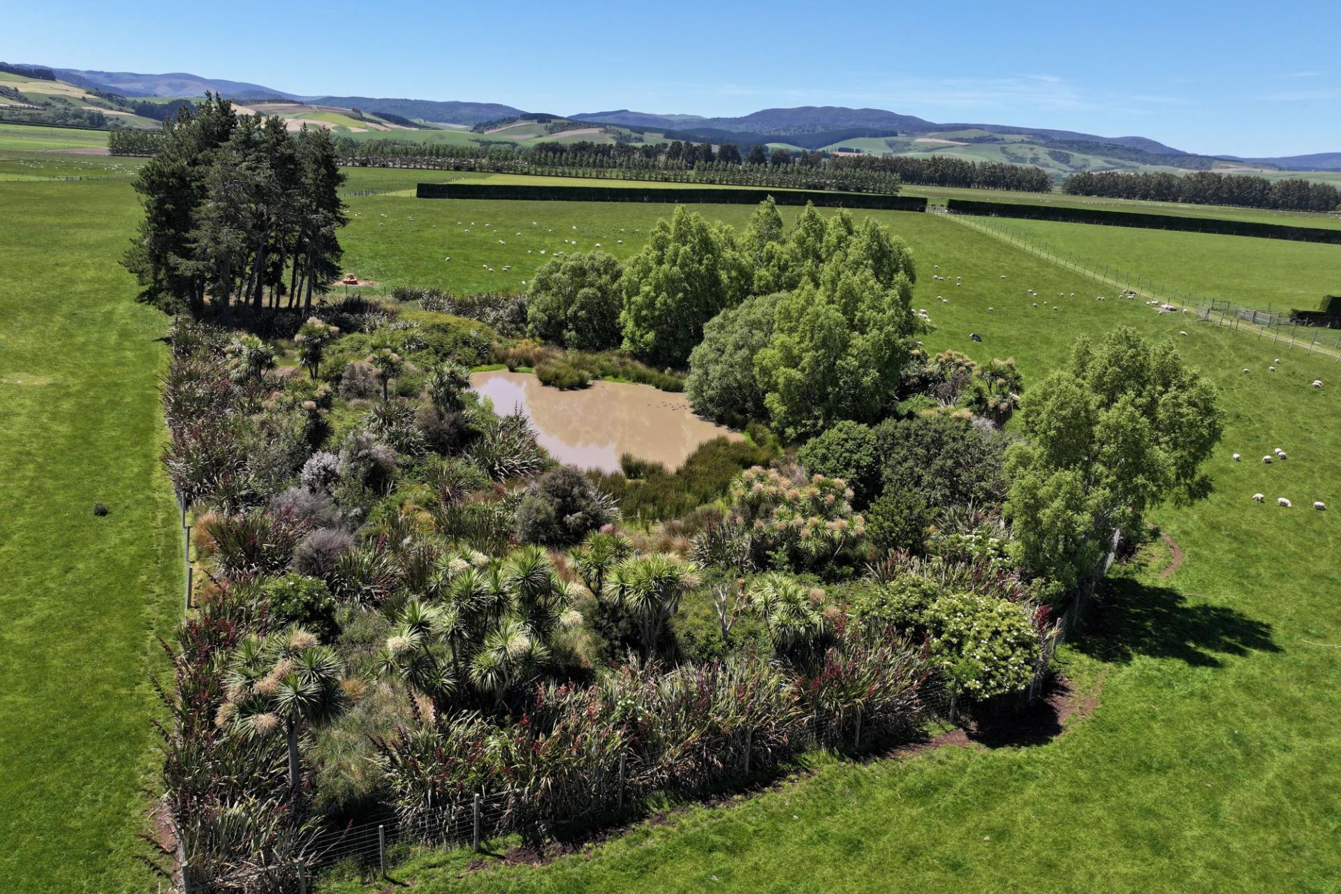 389 Mckenzie Road, Browns