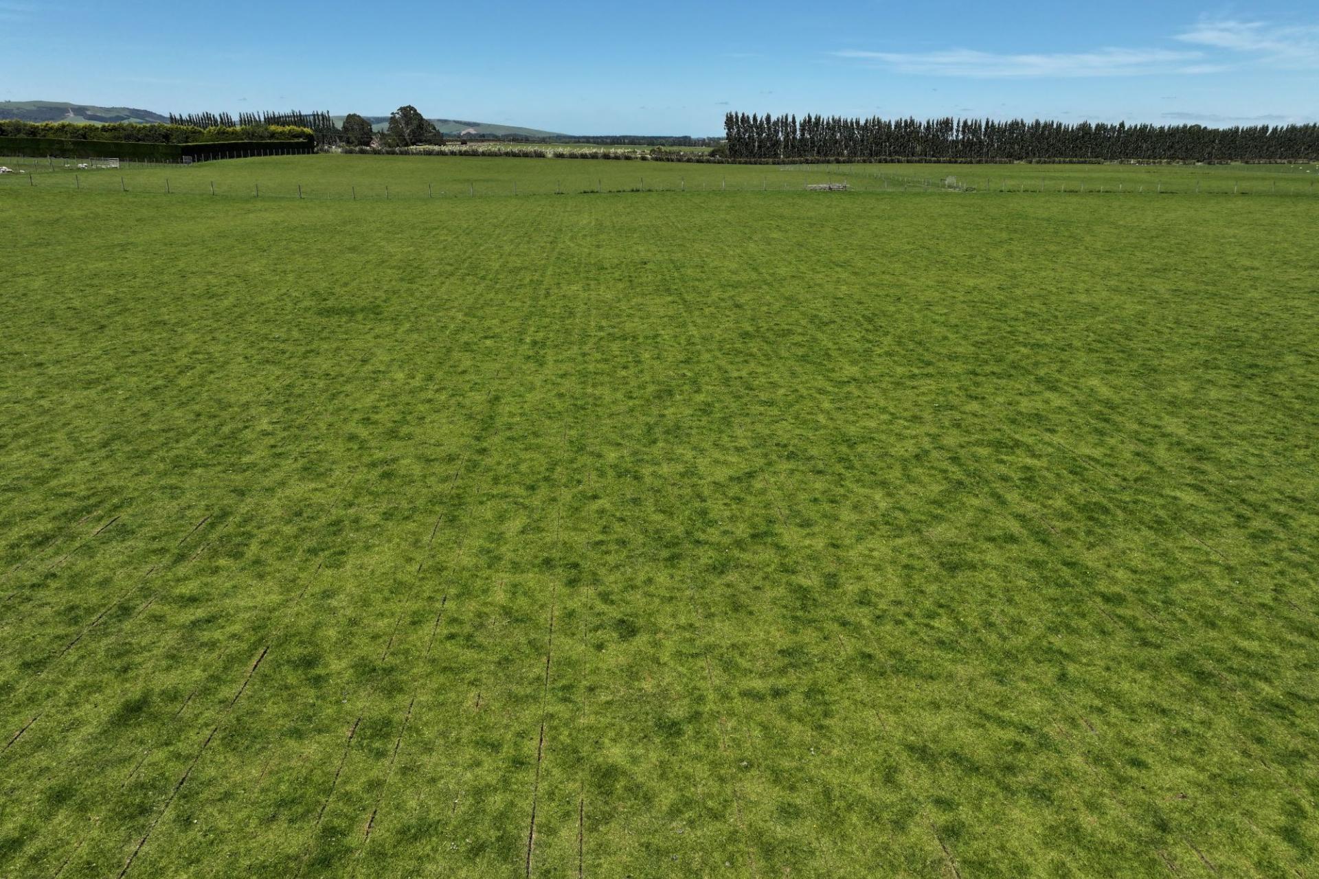 389 Mckenzie Road, Browns