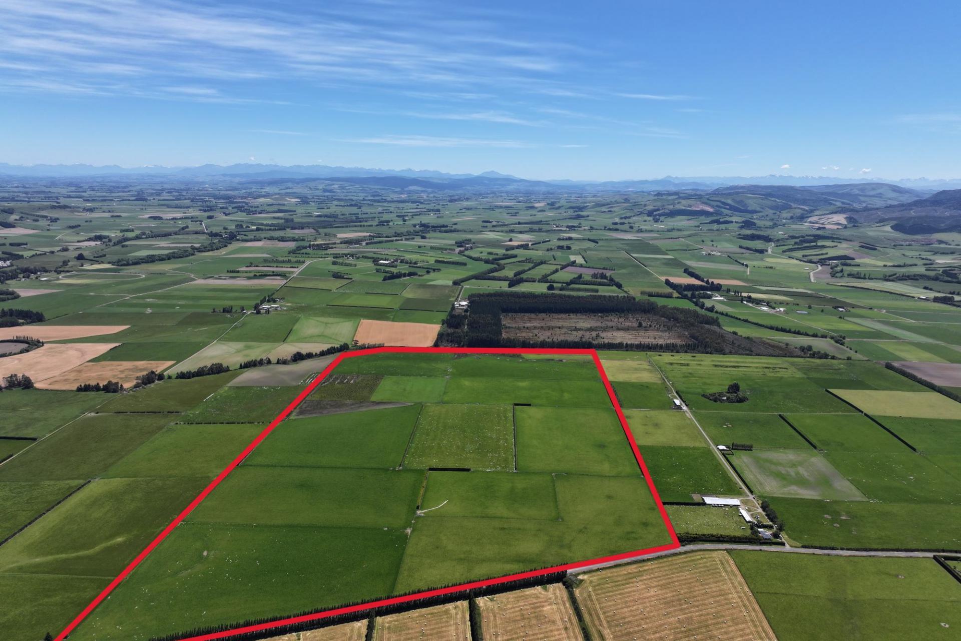 389 Mckenzie Road, Browns