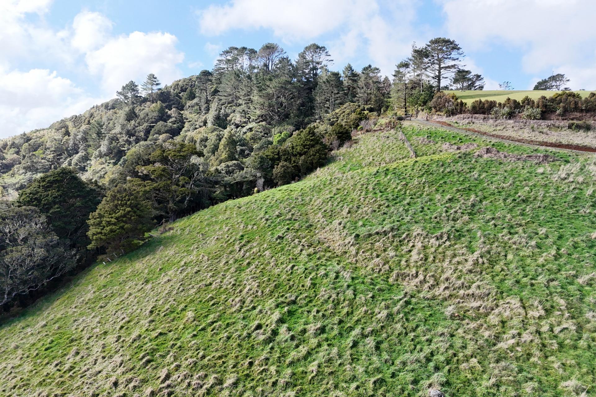 Lot 2 Mangatu Road, Dargaville Surrounds