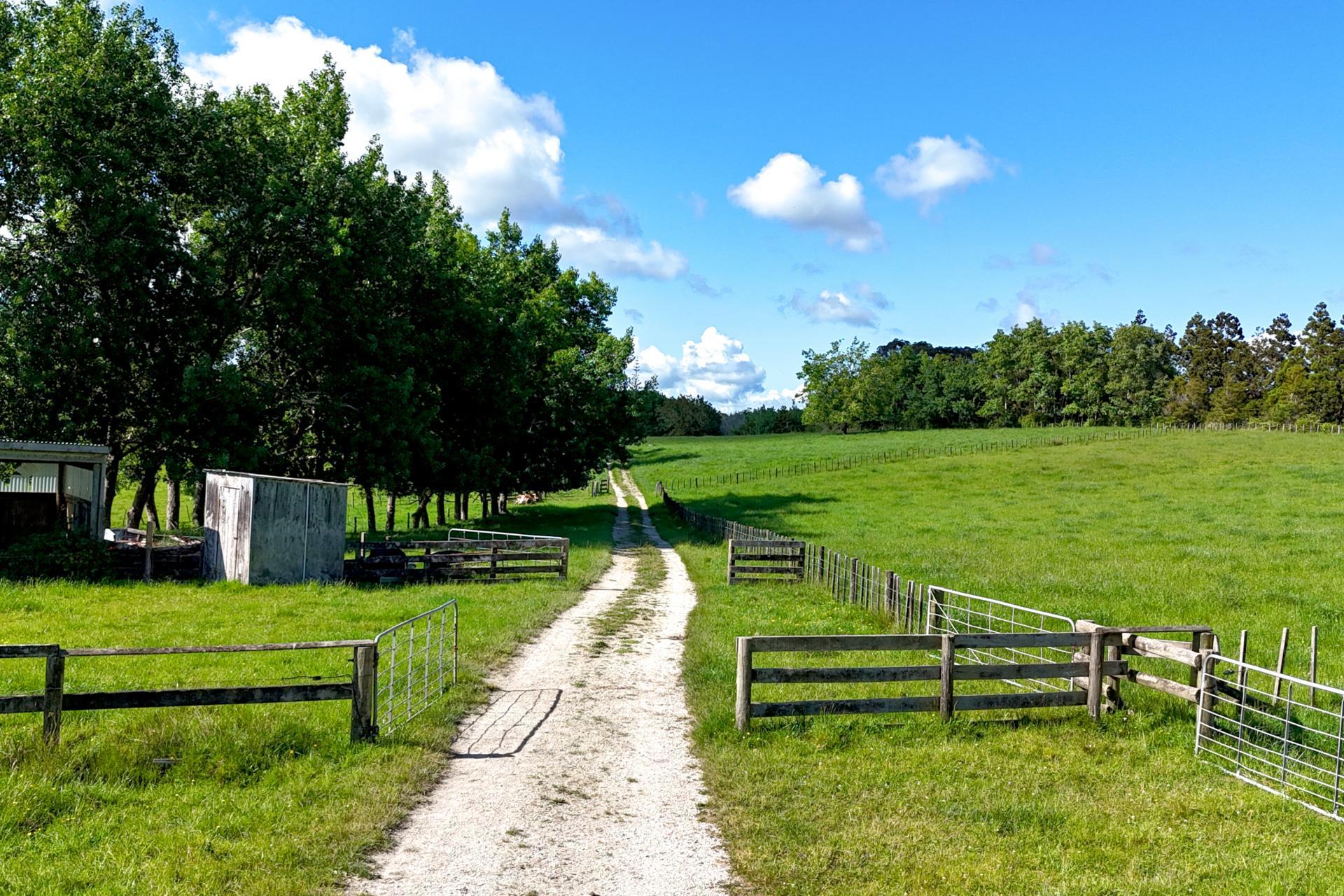 11 Pool Road, Wellsford