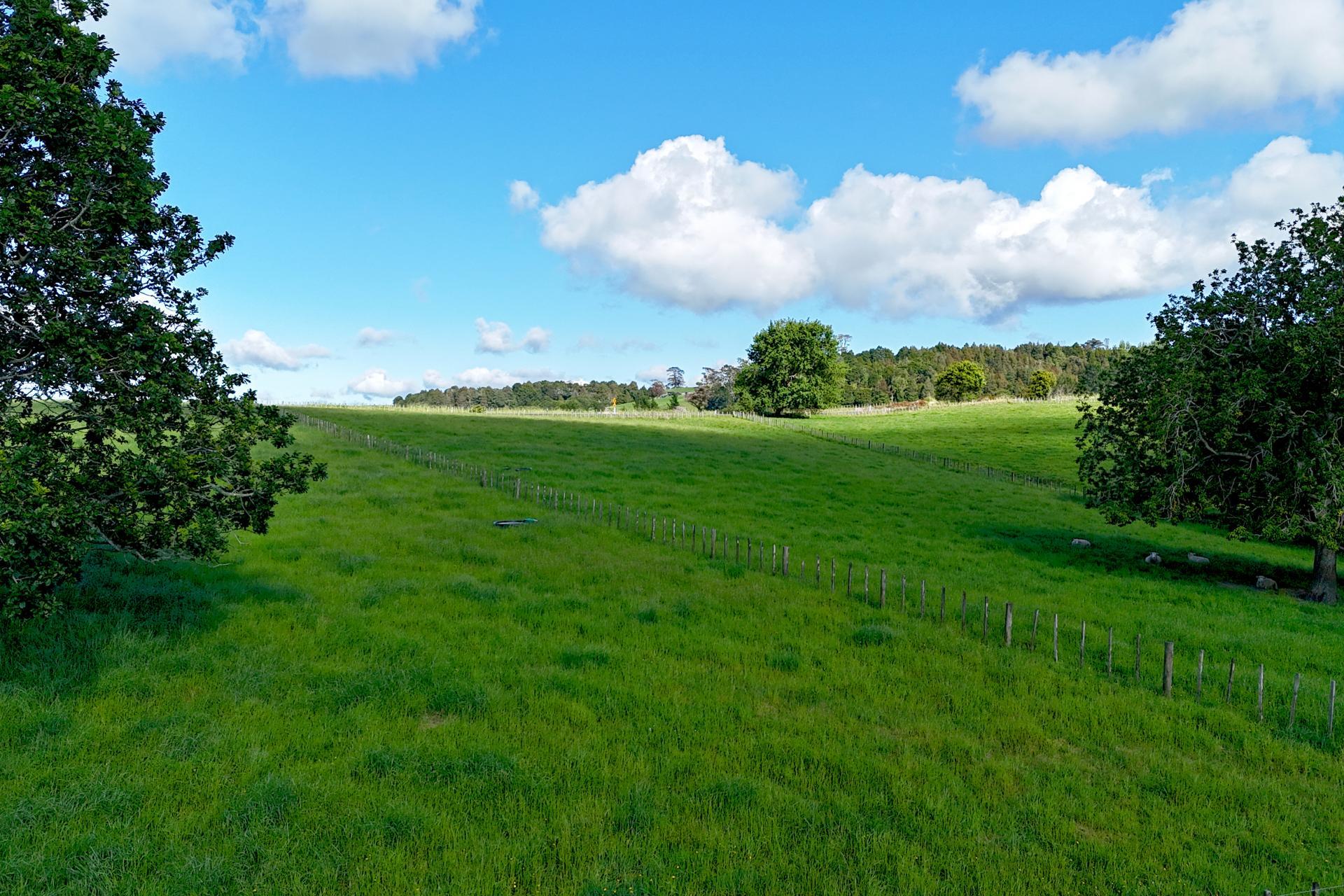 11 Pool Road, Wellsford