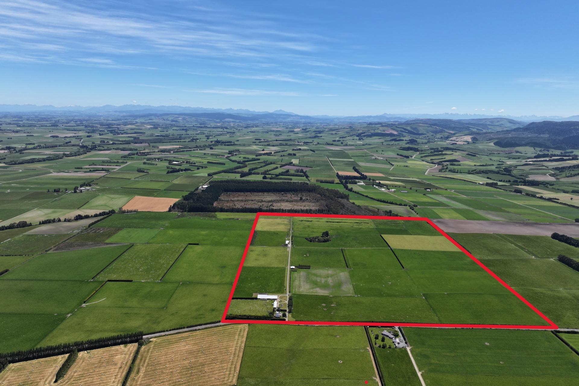 389 Mckenzie Road, Browns