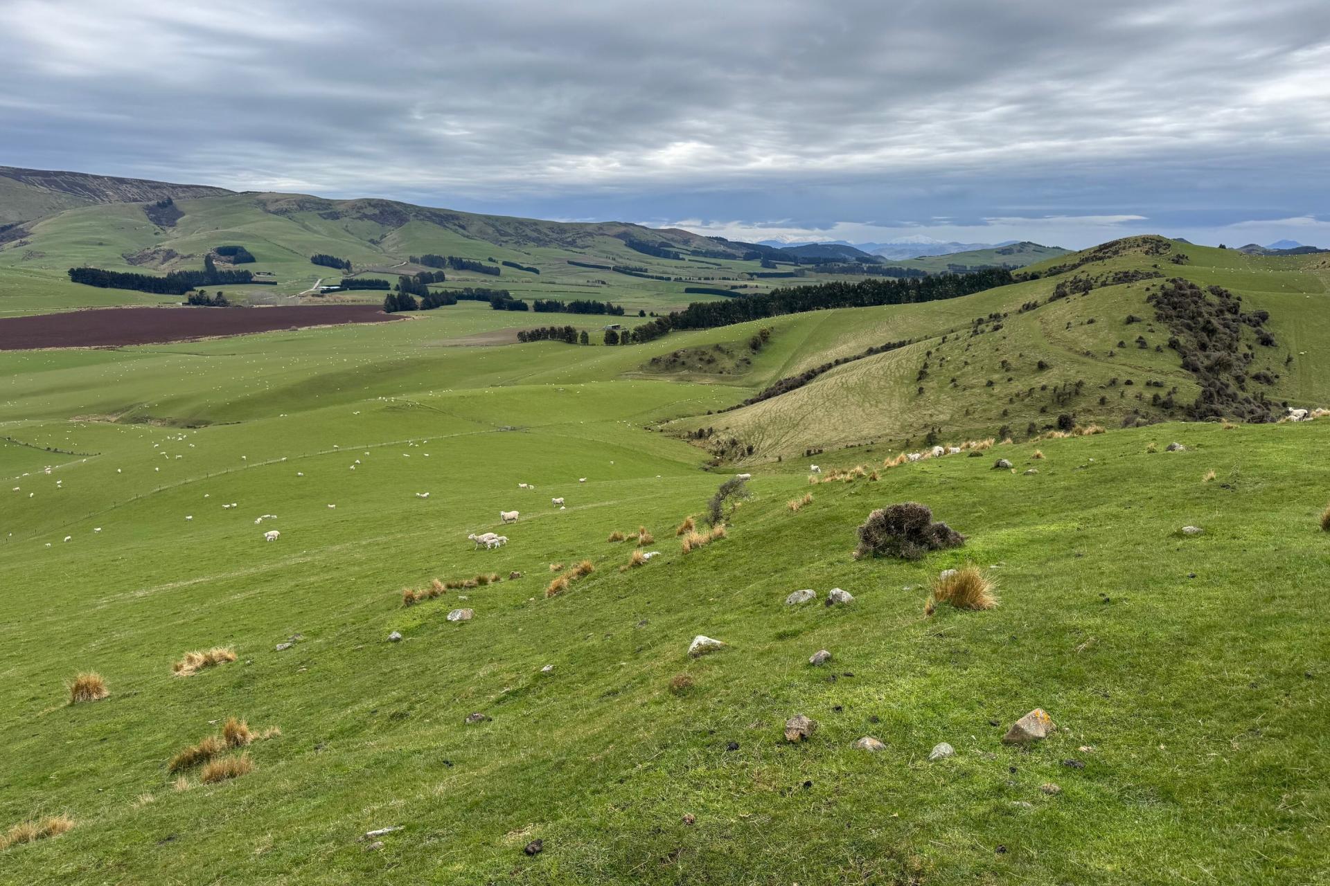 365 Glenure Hill Road, Hokonui Hills